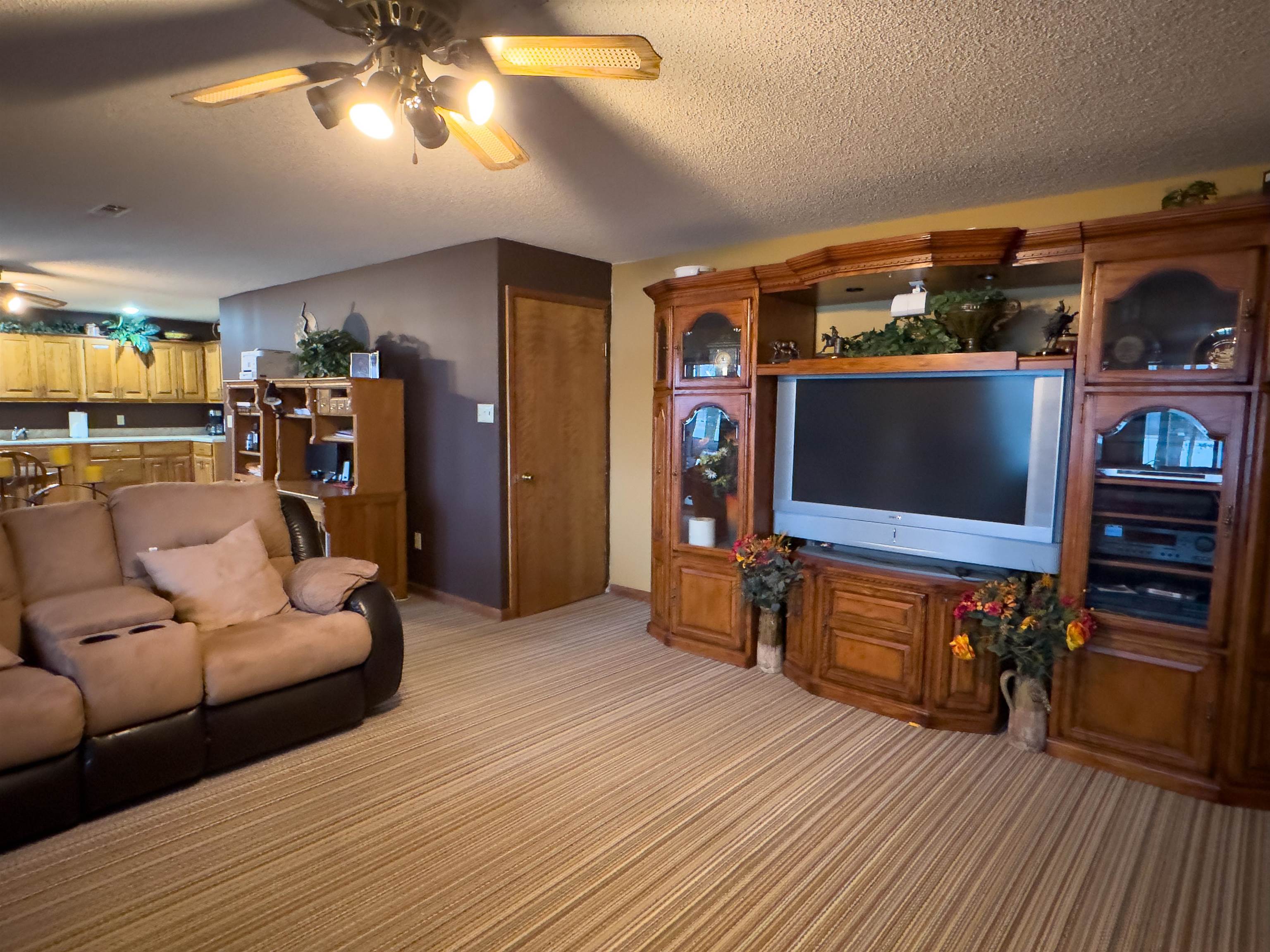 706  South Shore  Horseshoe Bend, AR