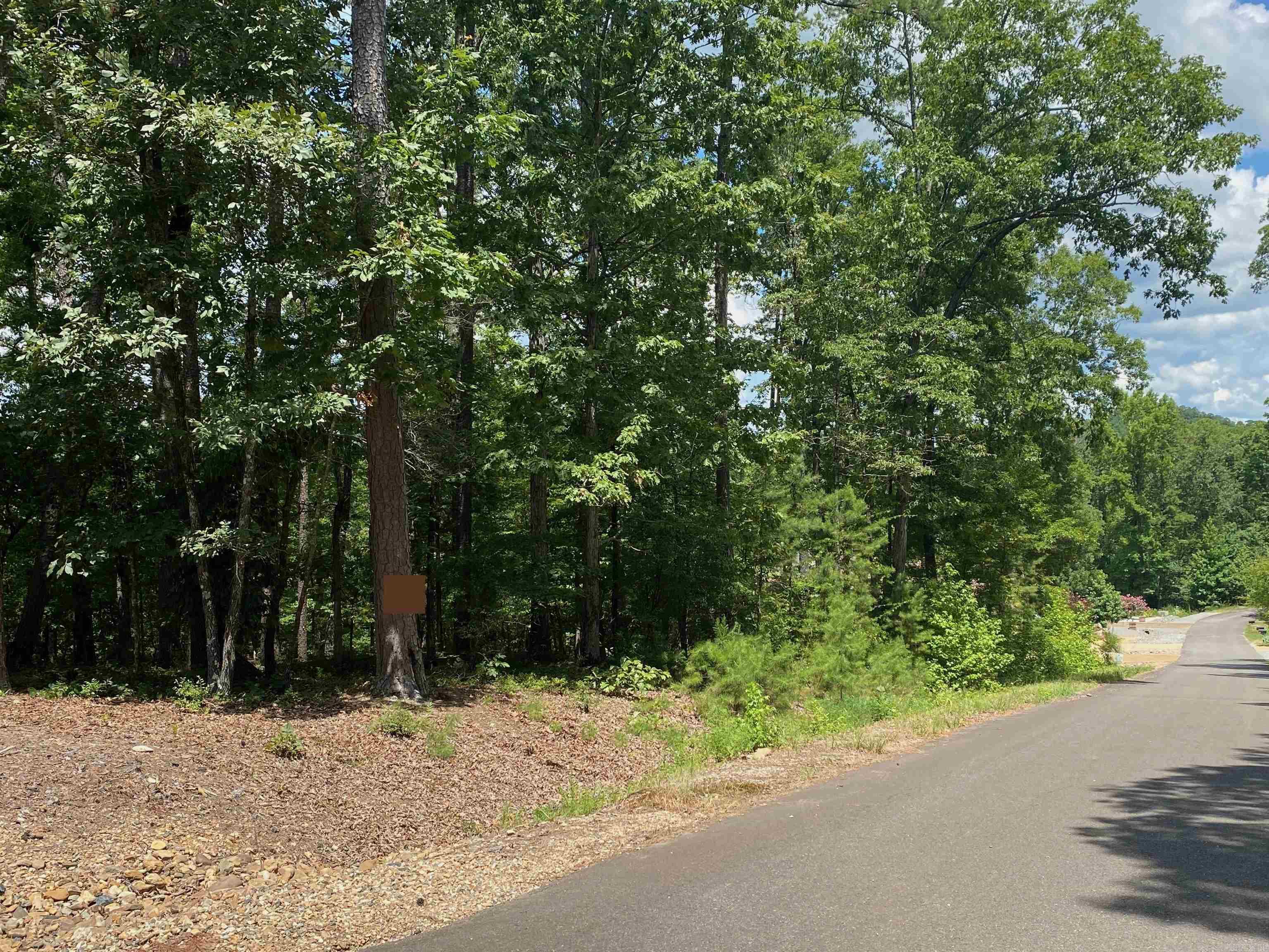 22  Belleza  Hot Springs Village, AR