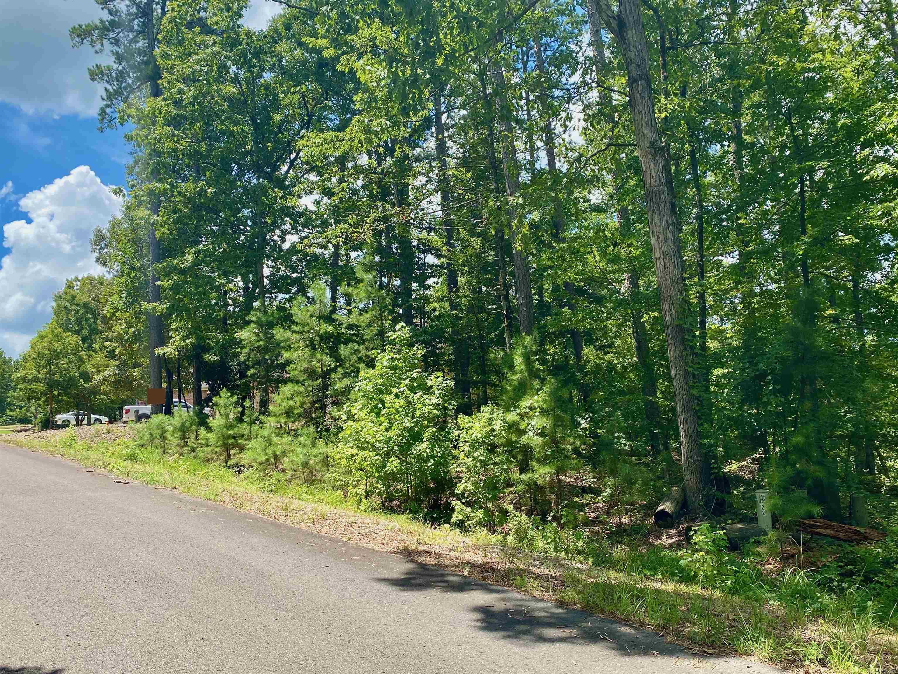22  Belleza  Hot Springs Village, AR