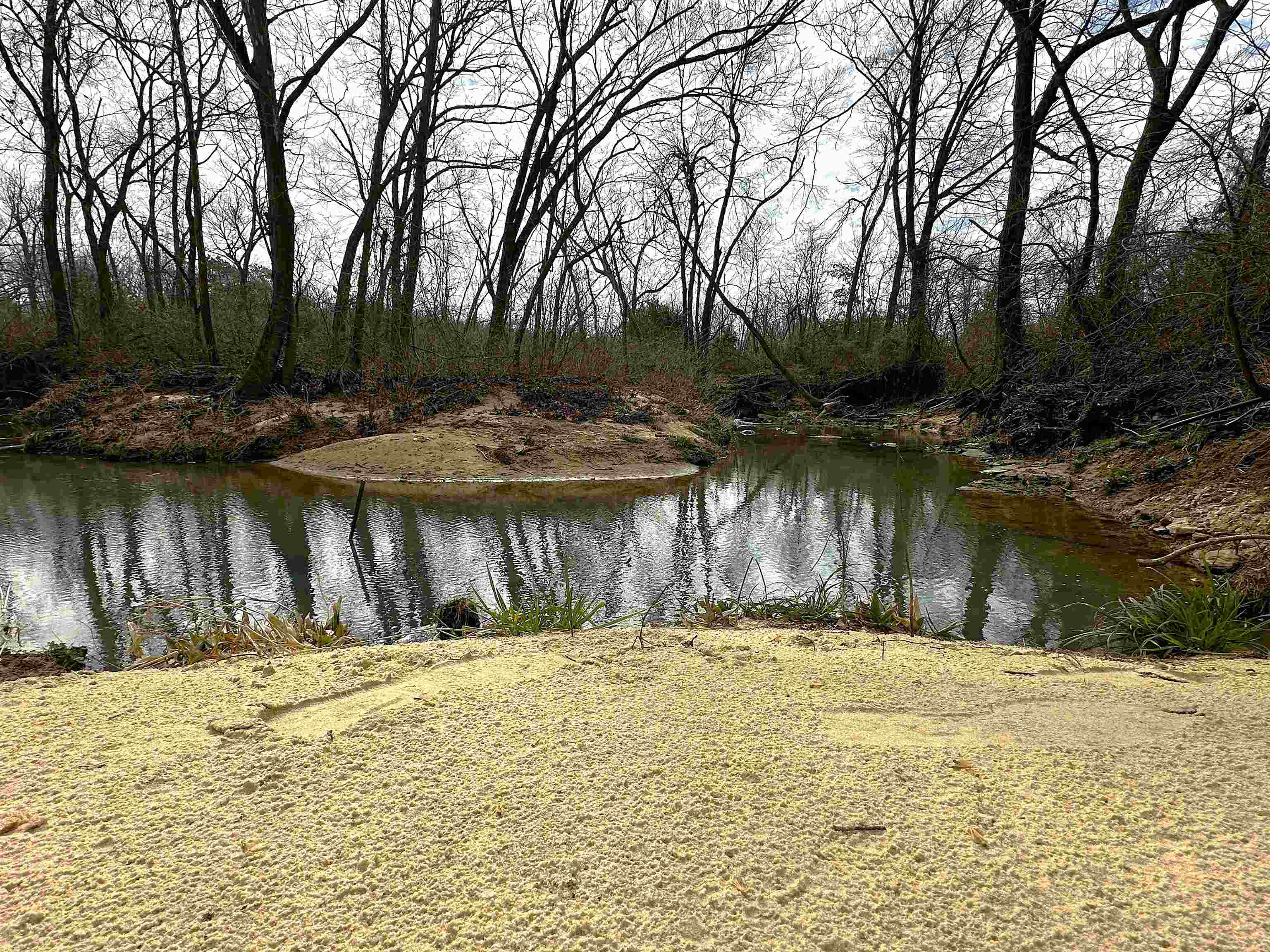 261  Brickle Springs  Cave City, AR