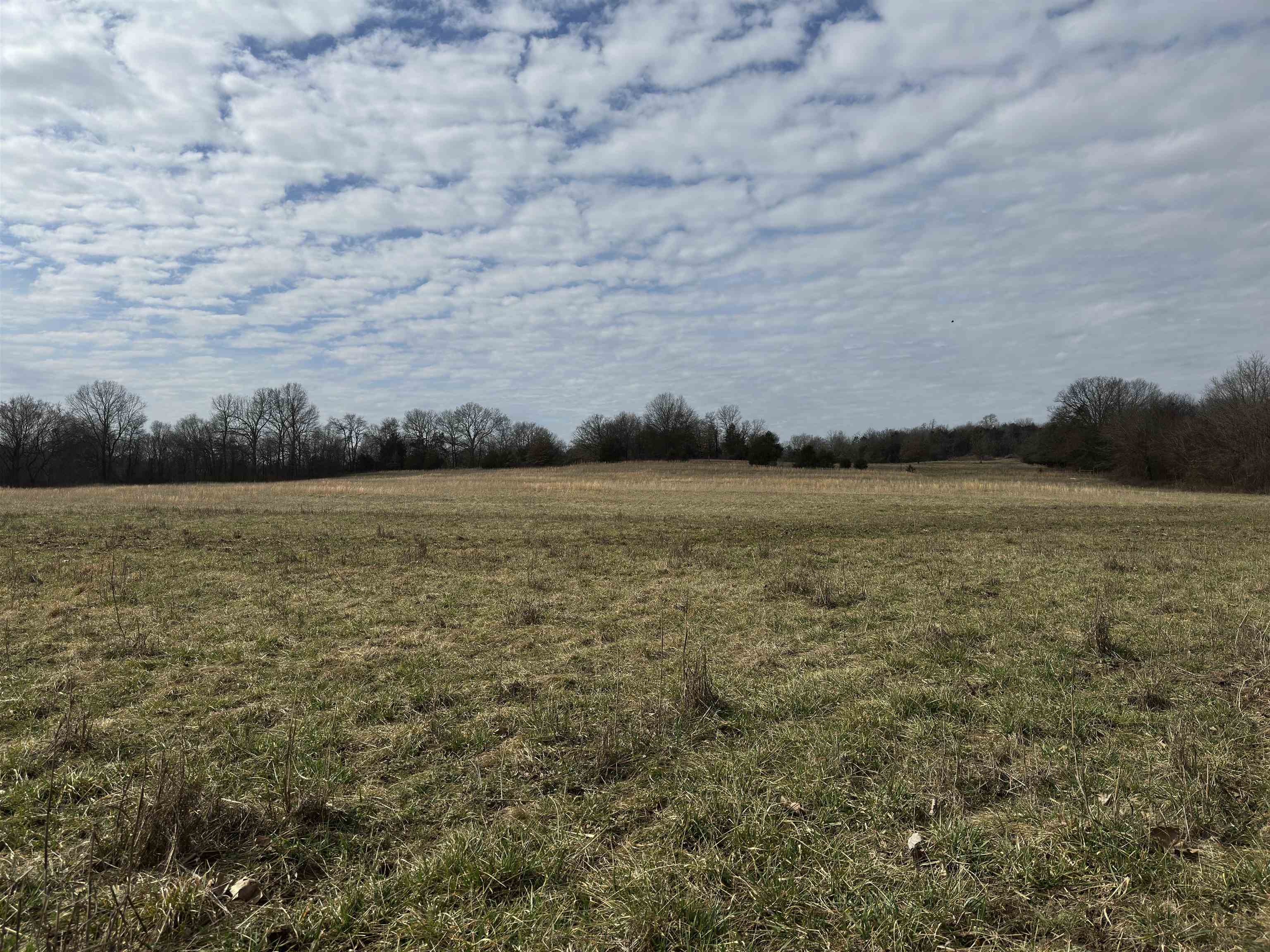 261  Brickle Springs  Cave City, AR