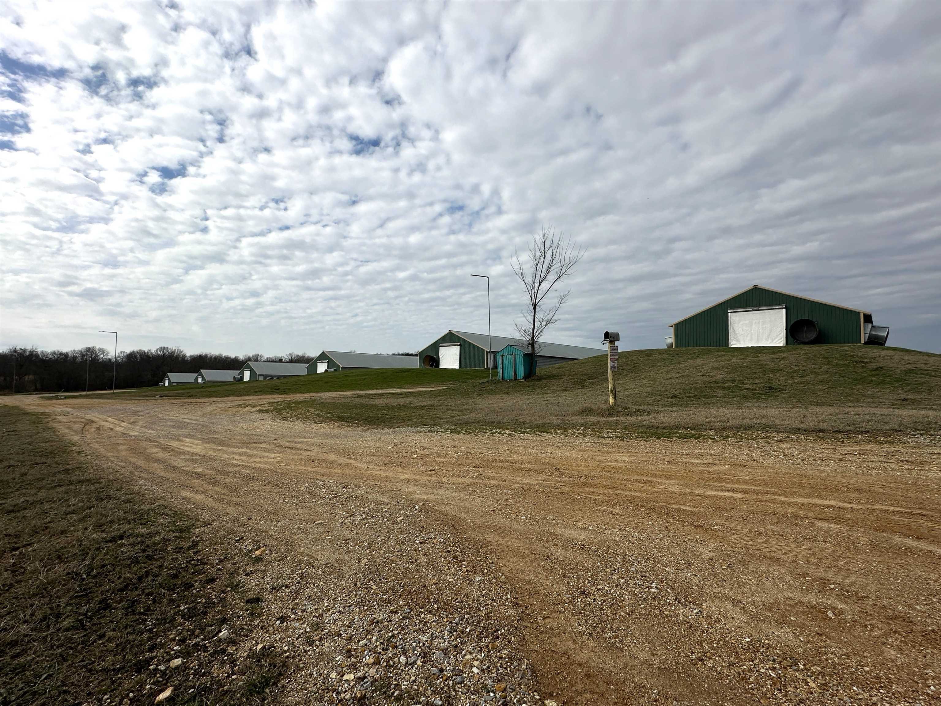 261  Brickle Springs  Cave City, AR