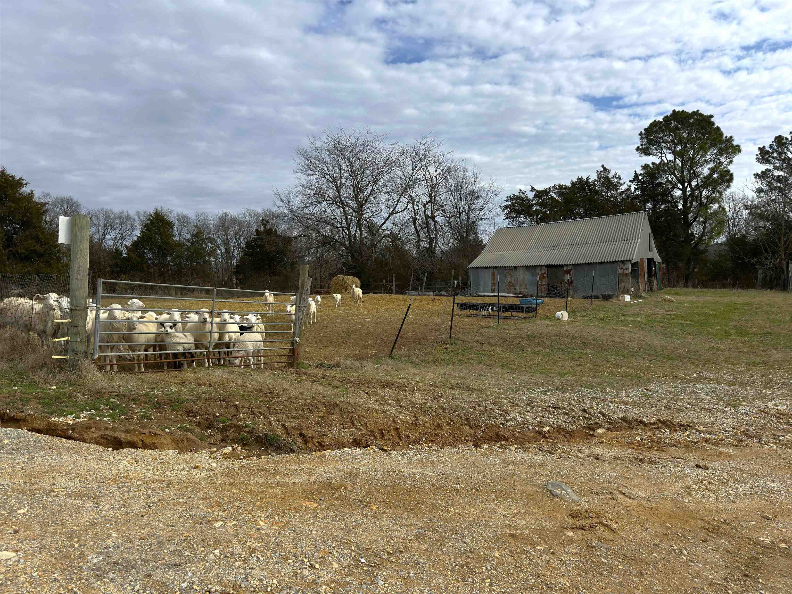 261 Brickle Springs  Cave City, AR