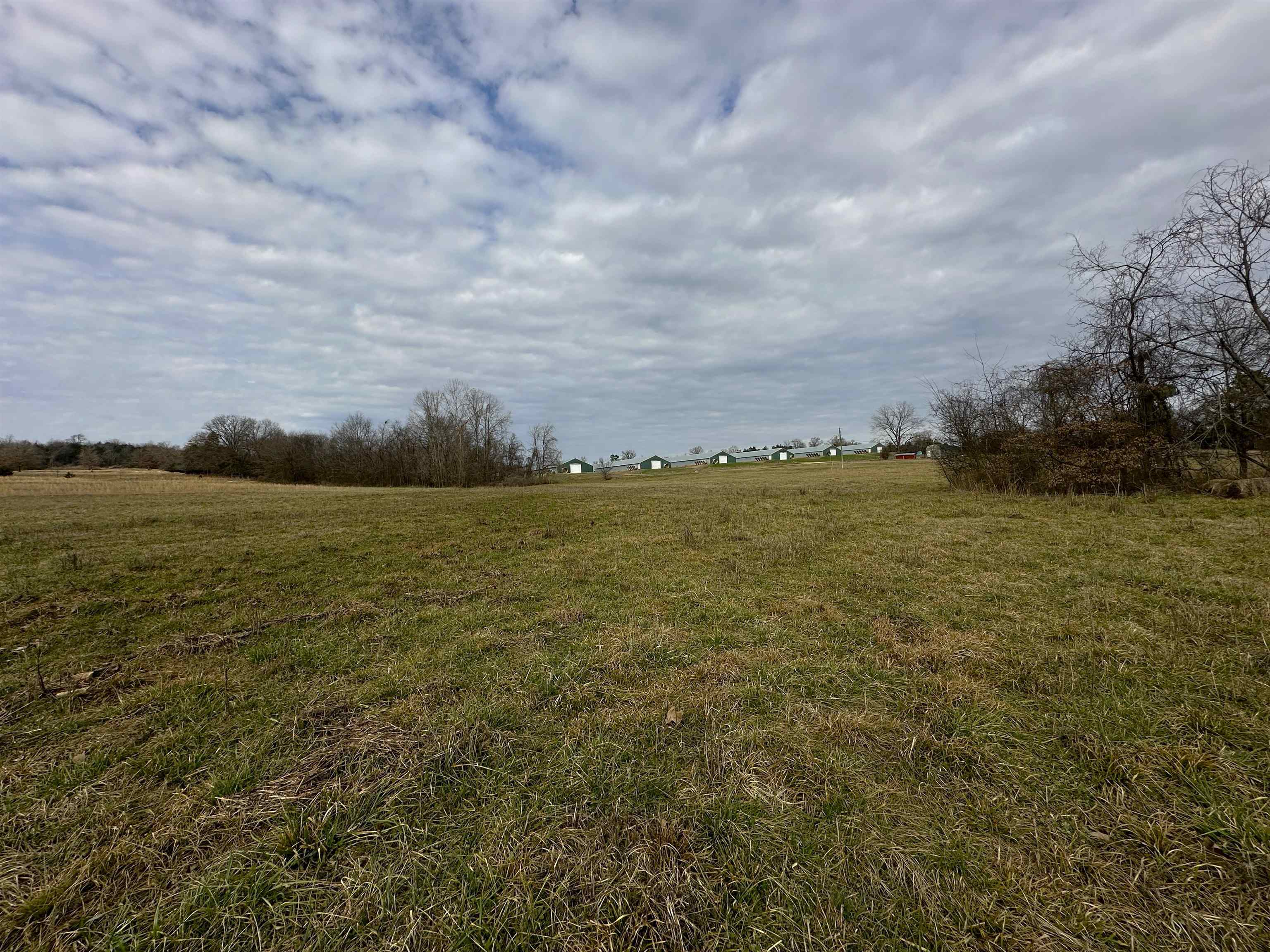 261  Brickle Springs  Cave City, AR