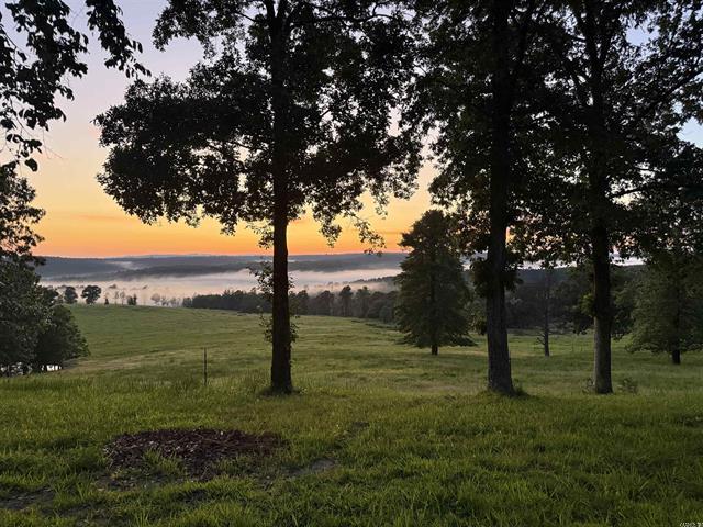 3283  Dodd Mtn.  Shirley, AR