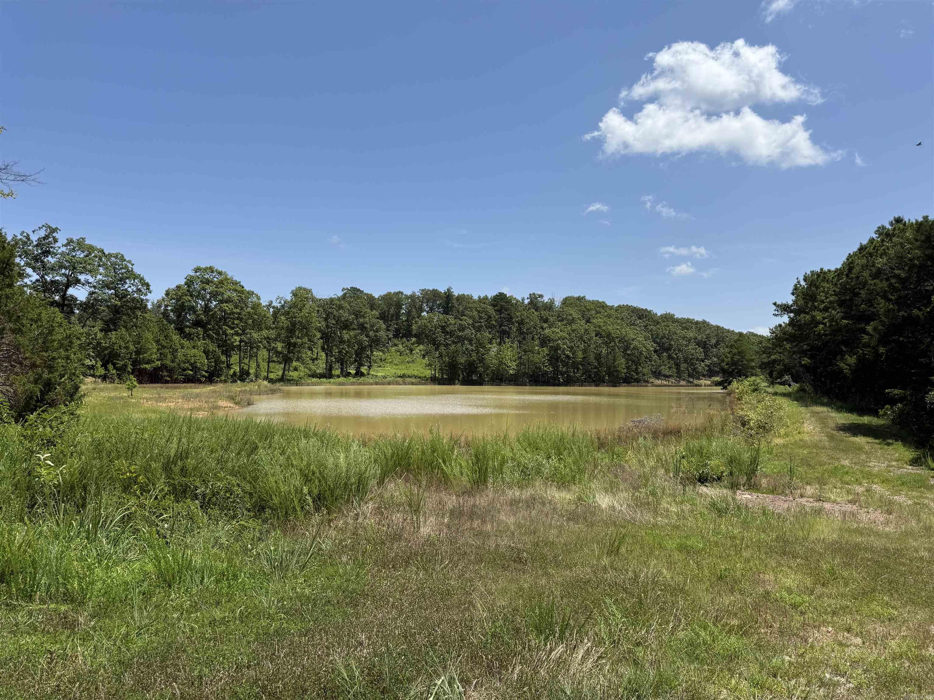 3283 Dodd Mtn. Road Shirley, AR 72153
