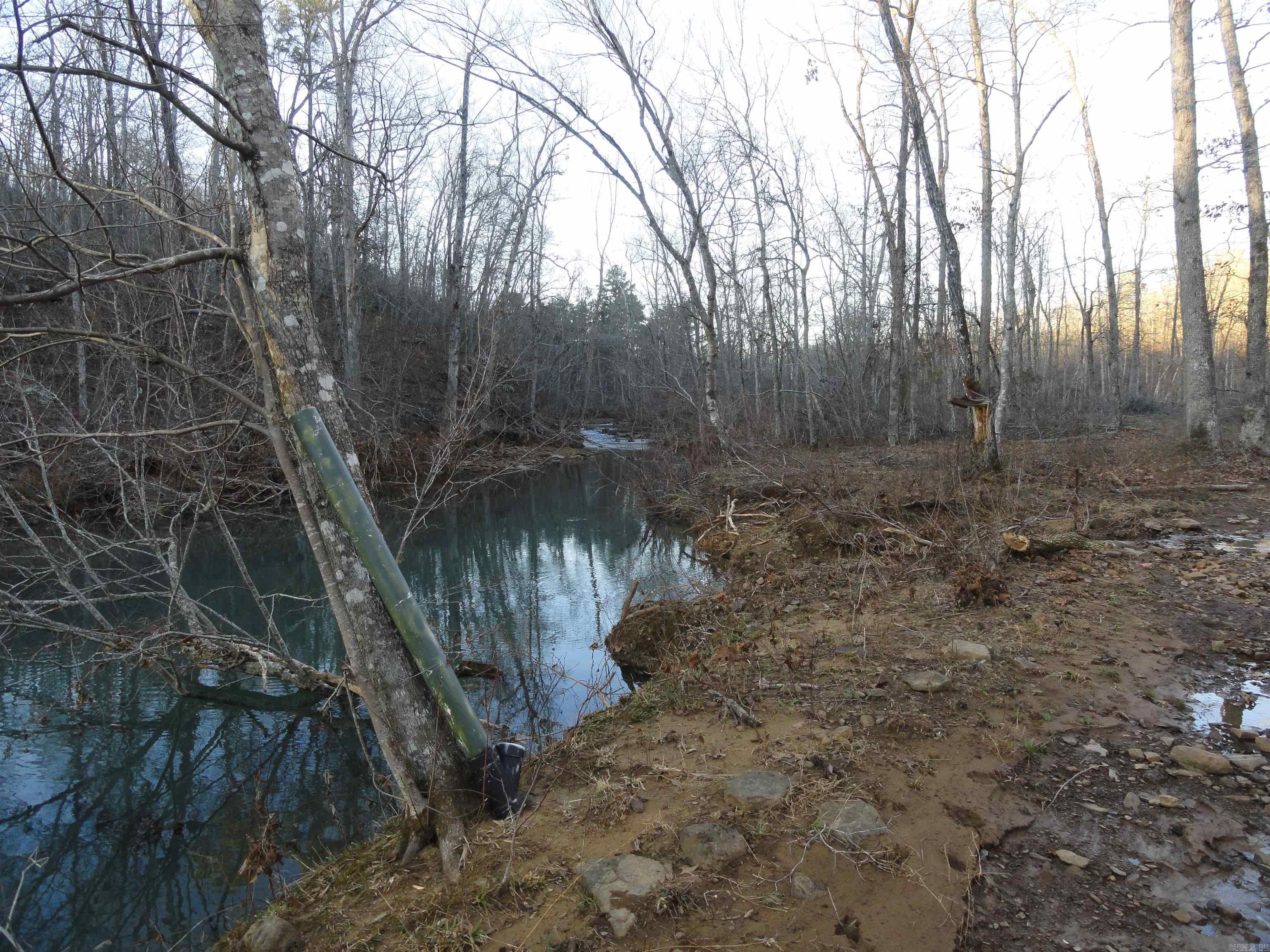 3283 Dodd Mtn. Road Shirley, AR 72153