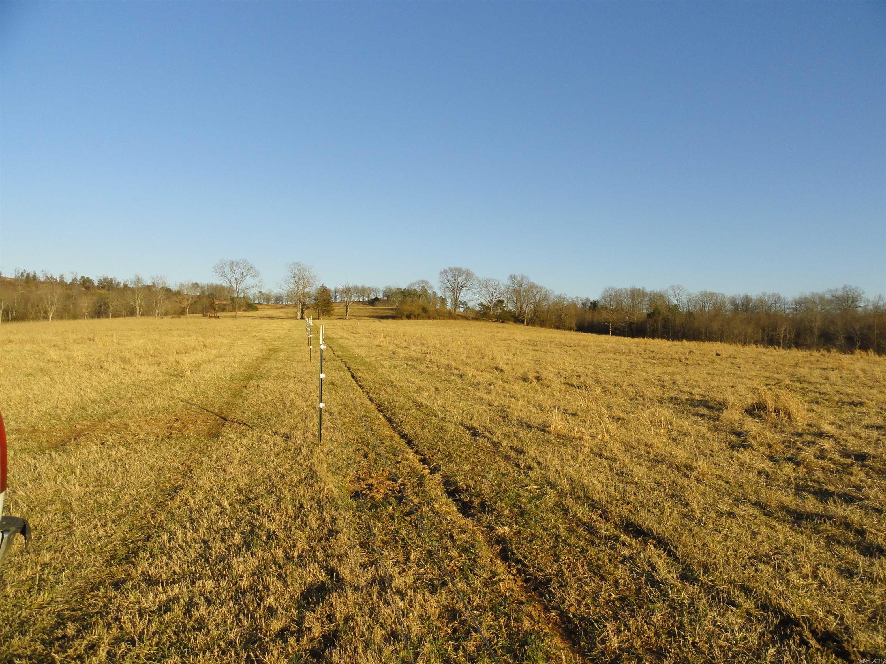 3283 Dodd Mtn. Road Shirley, AR 72153