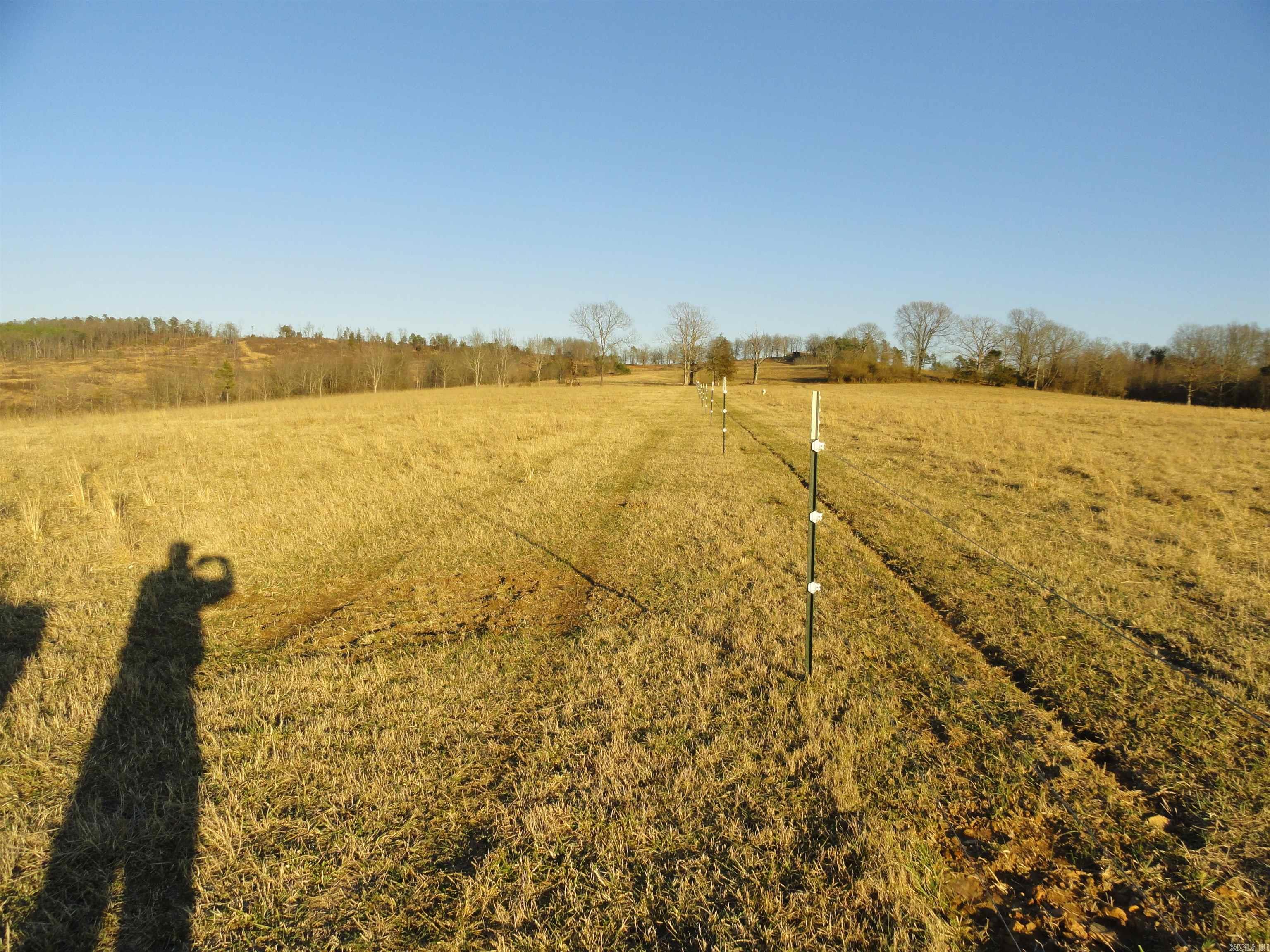 3283 Dodd Mtn. Road Shirley, AR 72153