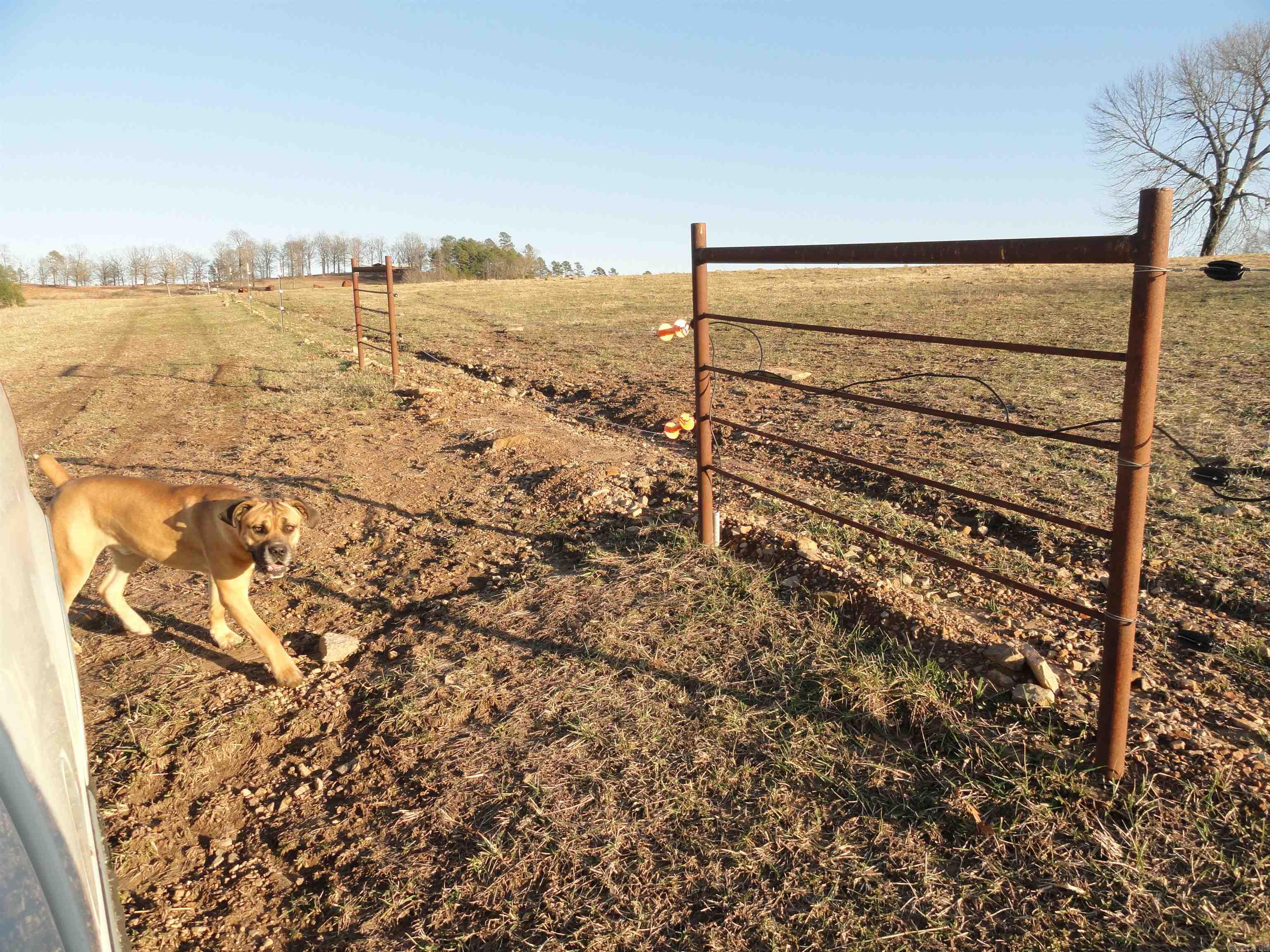 3283 Dodd Mtn. Road Shirley, AR 72153