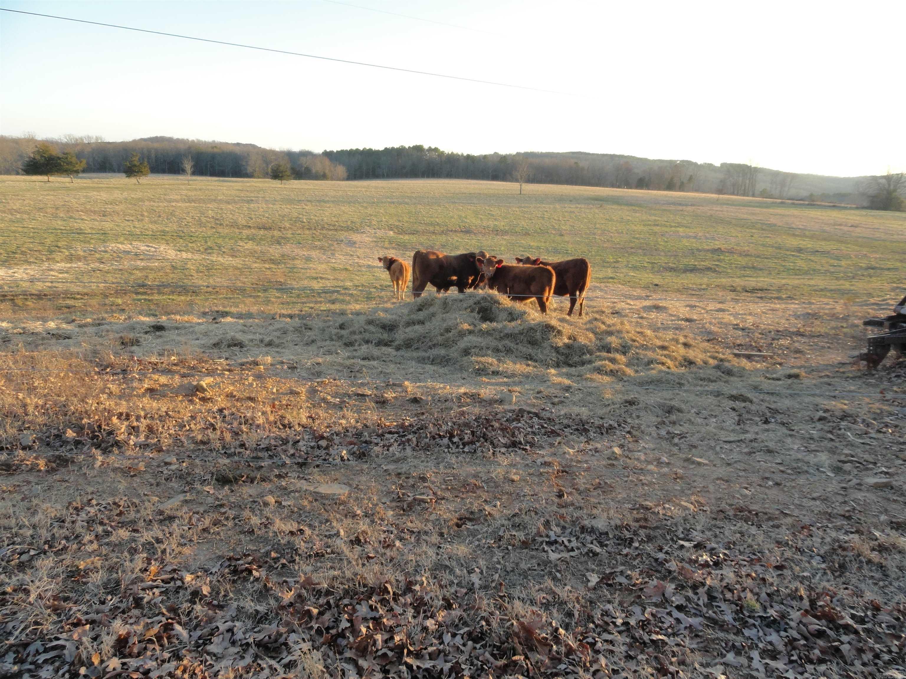 3283 Dodd Mtn. Road Shirley, AR 72153