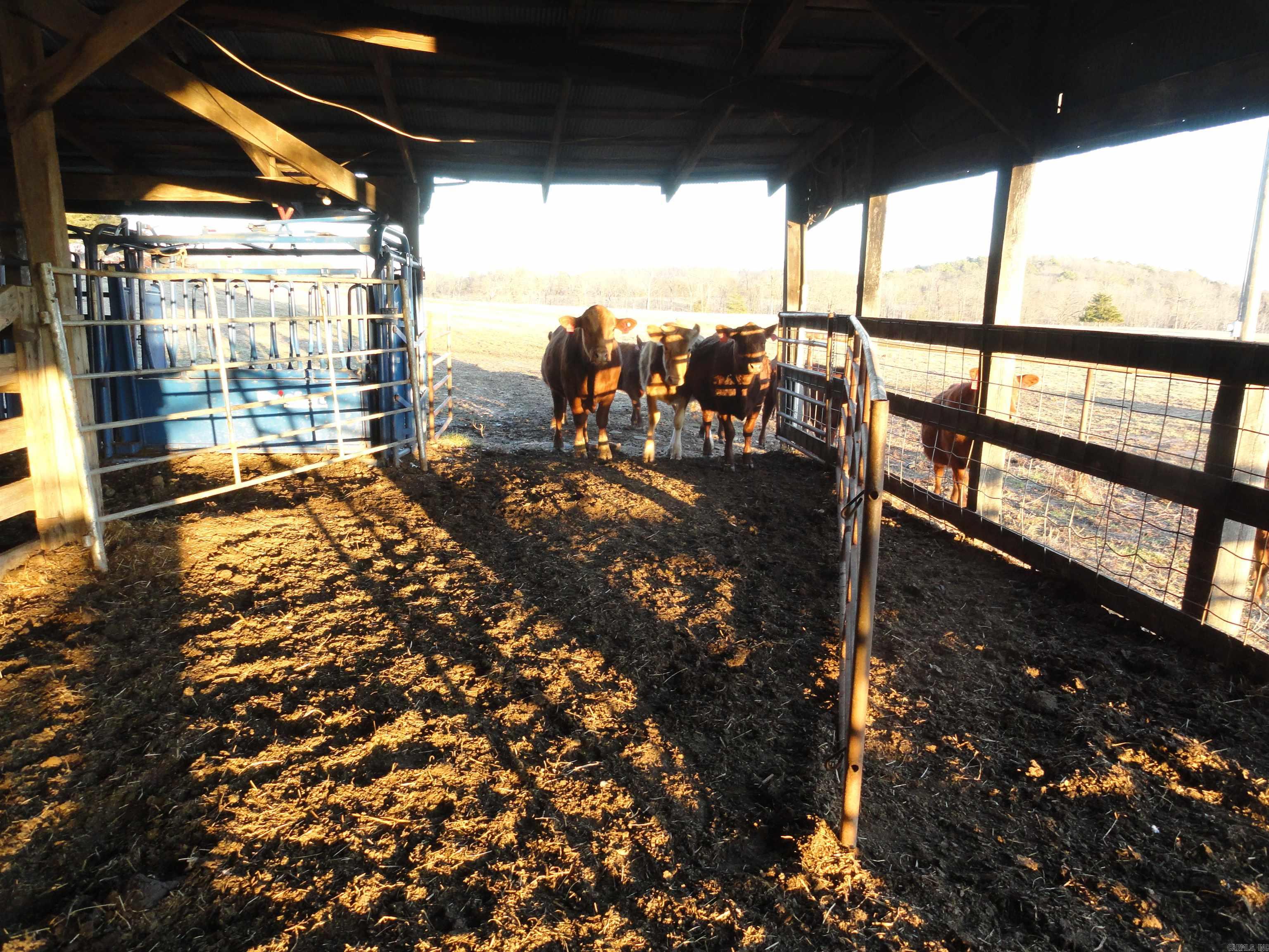 3283 Dodd Mtn. Road Shirley, AR 72153