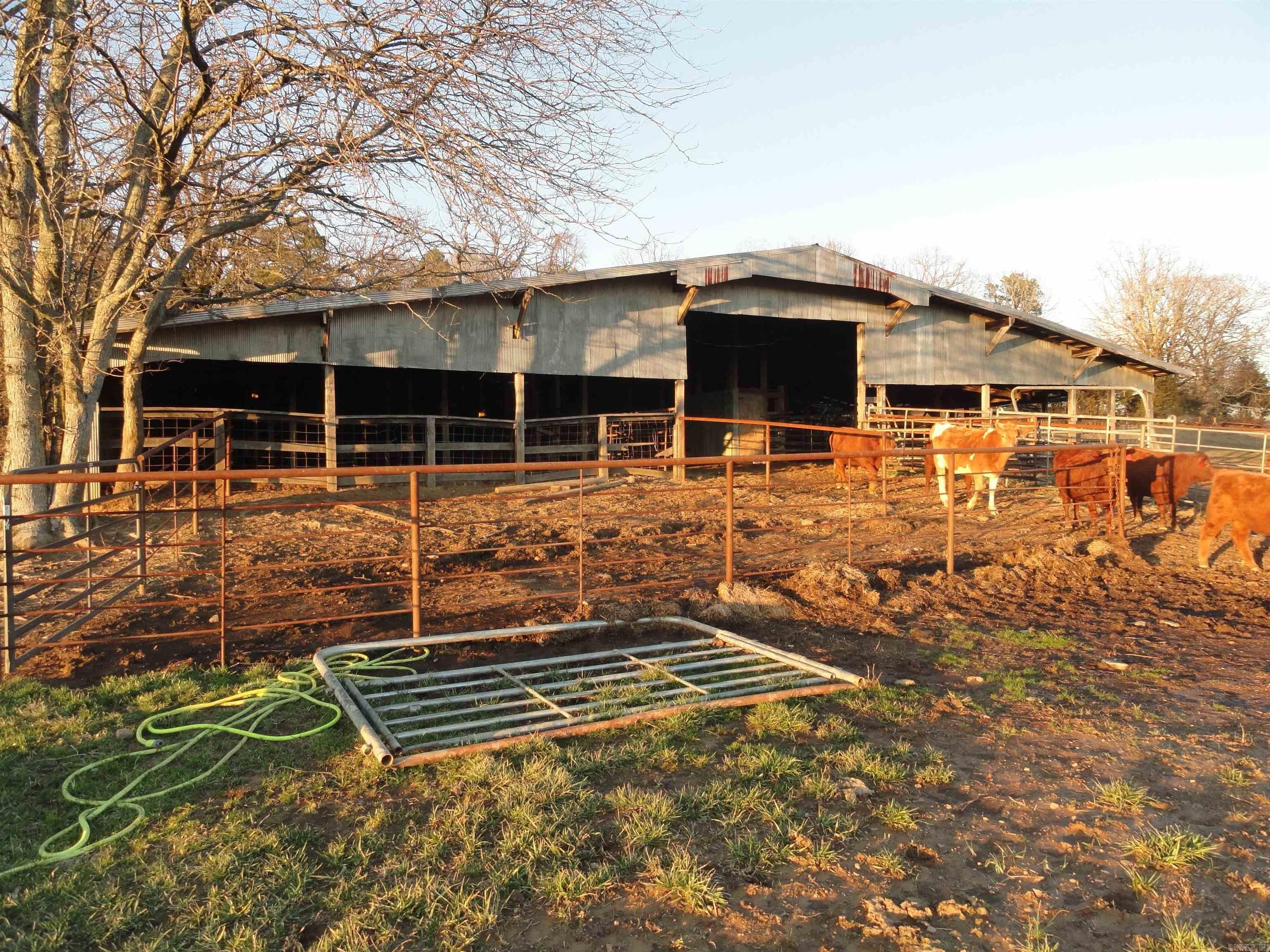 3283 Dodd Mtn. Road Shirley, AR 72153