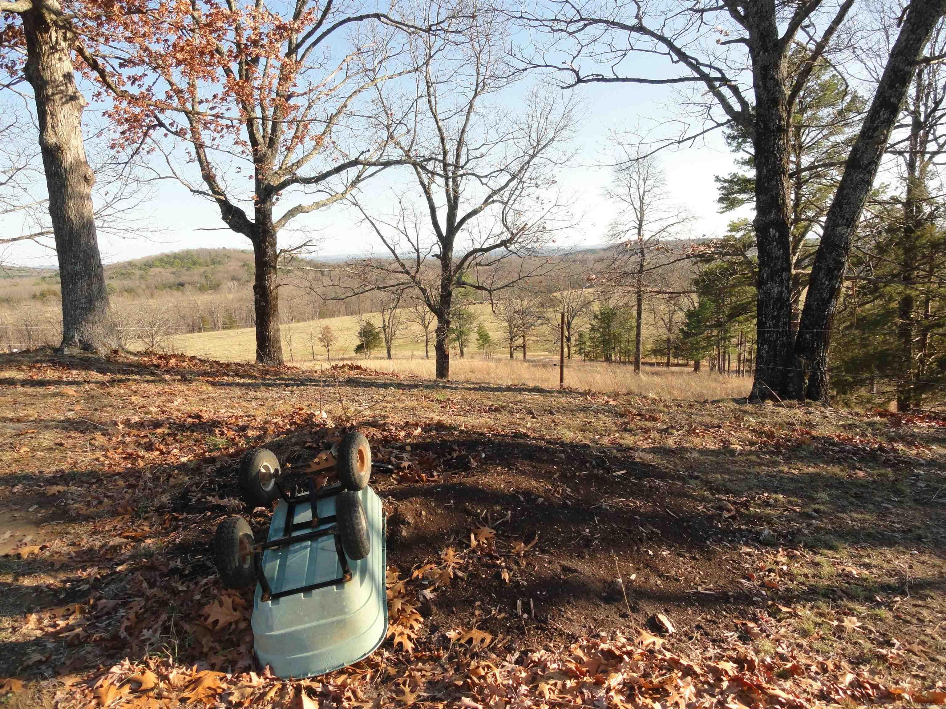 3283 Dodd Mtn. Road Shirley, AR 72153