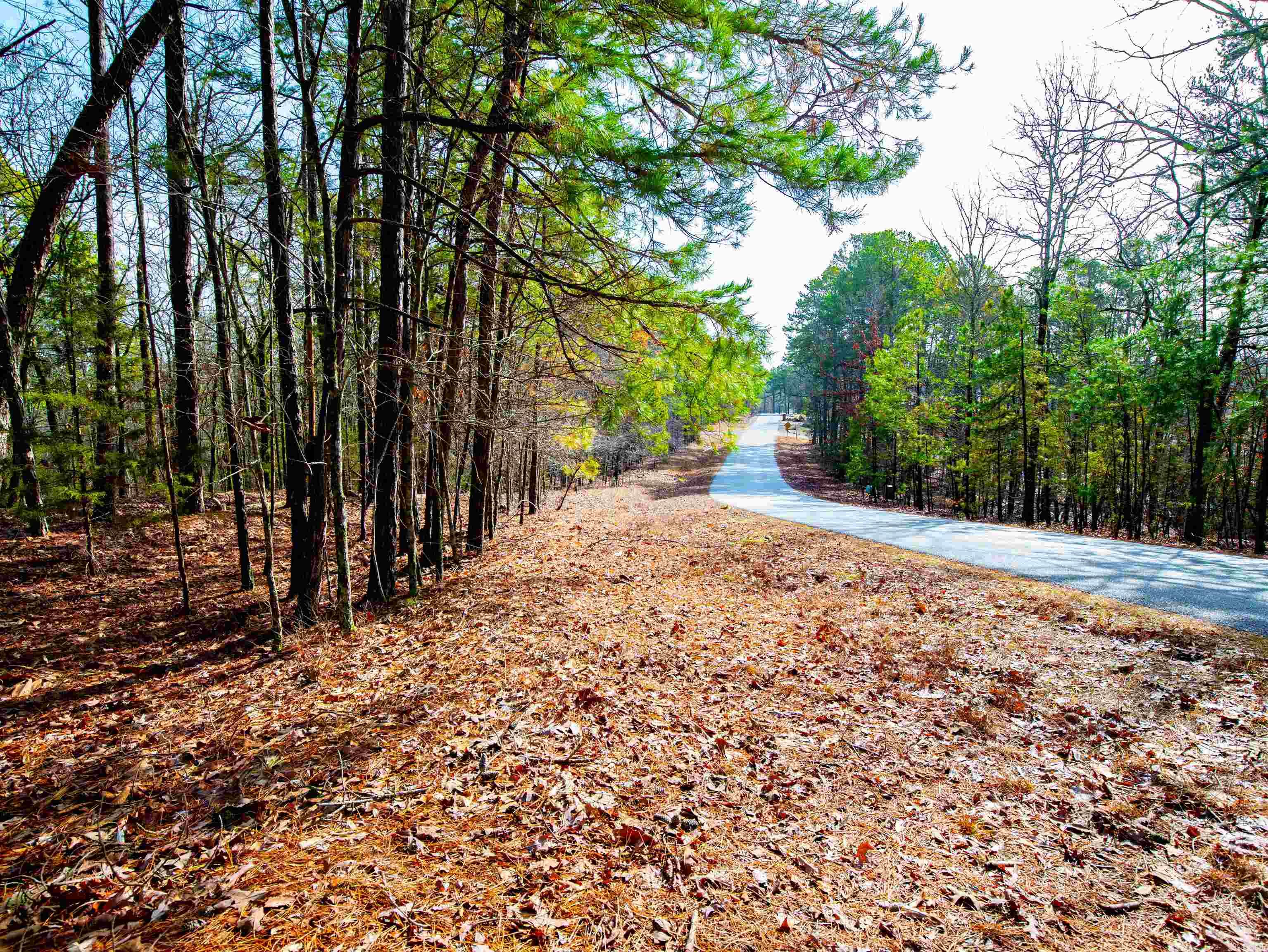 25  Lavanda  Hot Springs Village, AR