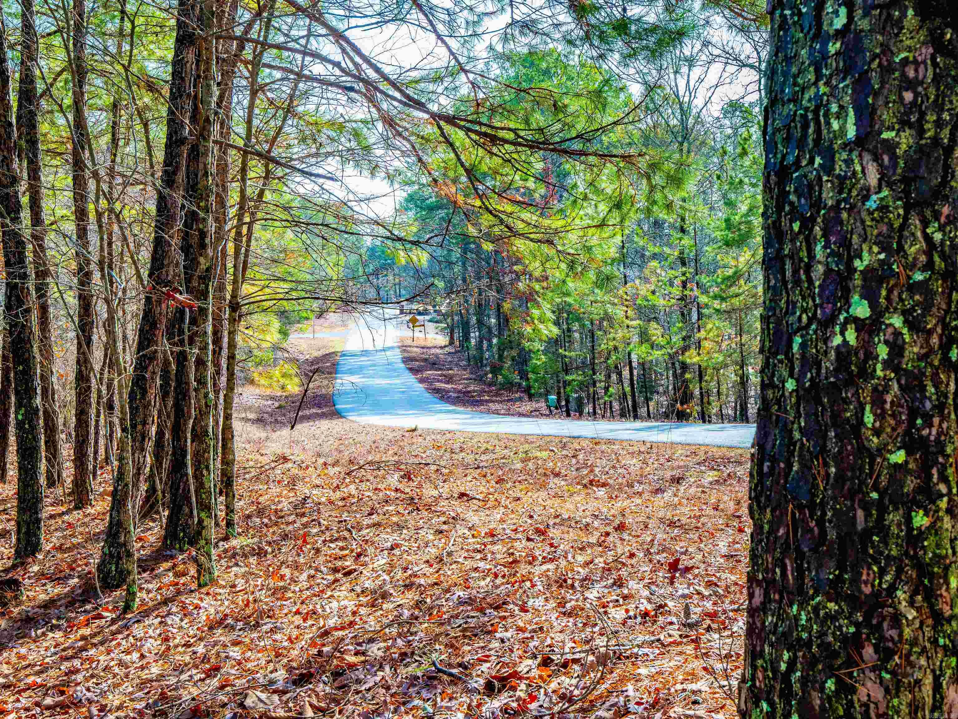 25  Lavanda  Hot Springs Village, AR