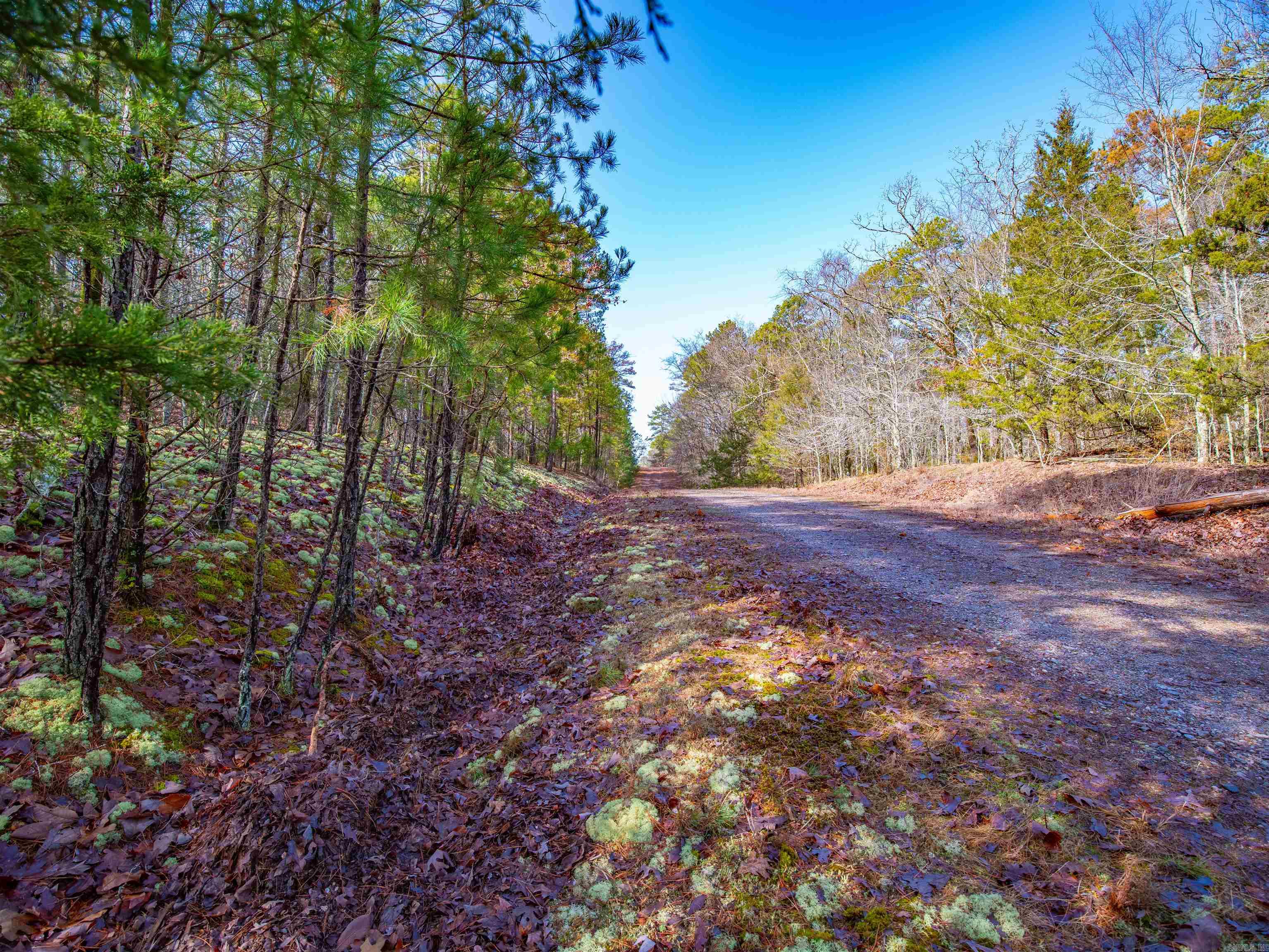 25  Lavanda  Hot Springs Village, AR