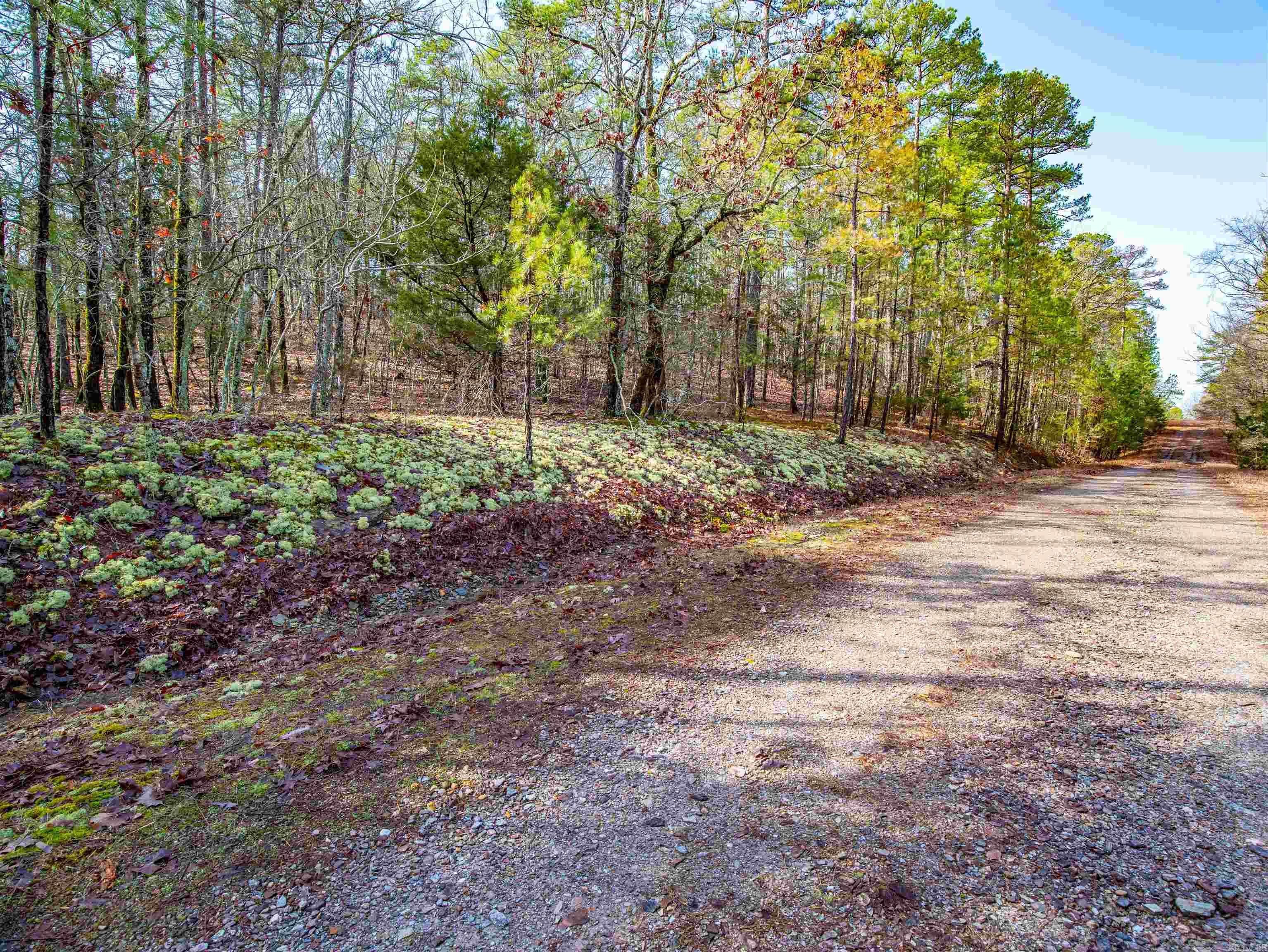 25  Lavanda  Hot Springs Village, AR