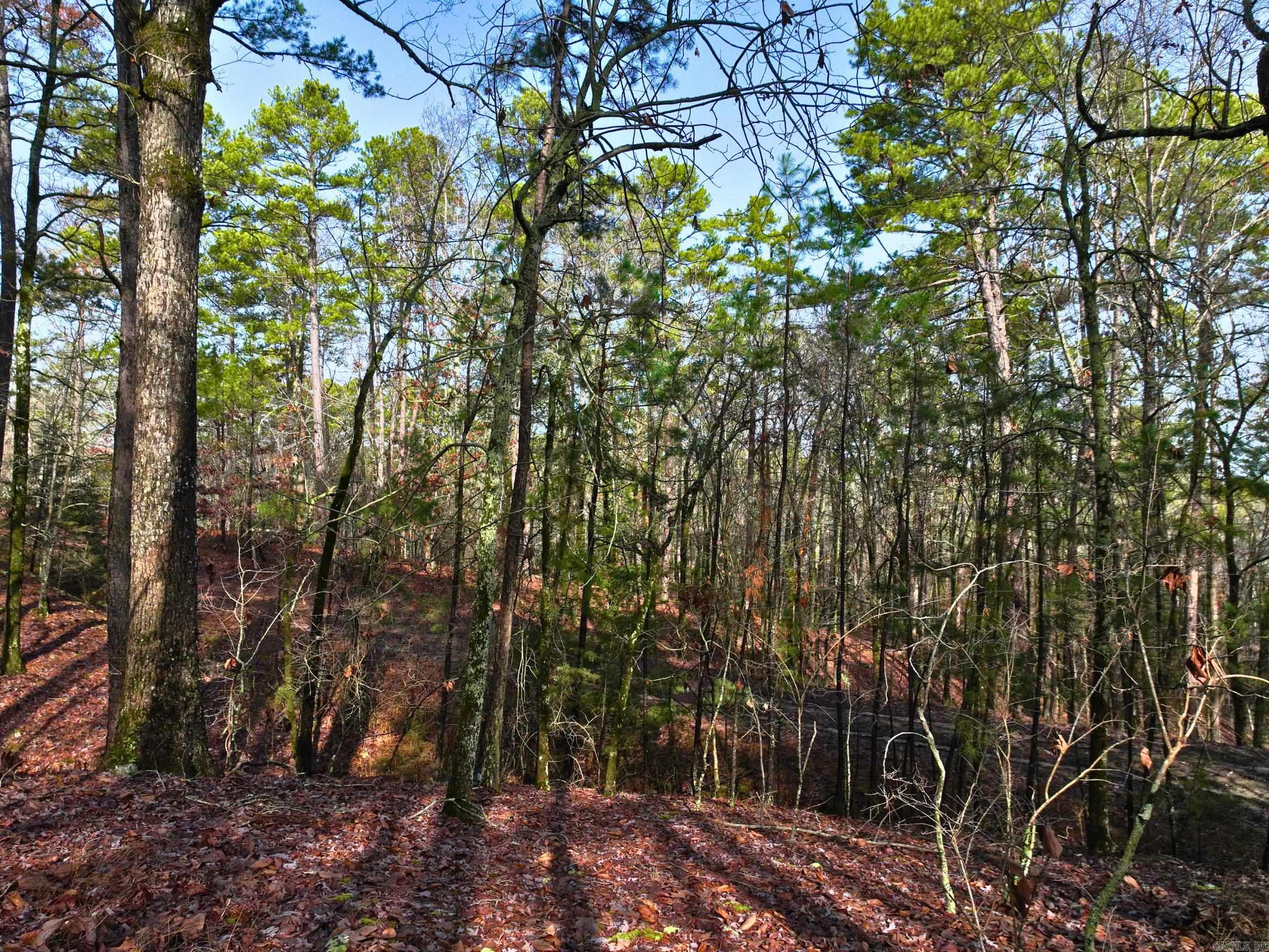 25  Lavanda  Hot Springs Village, AR