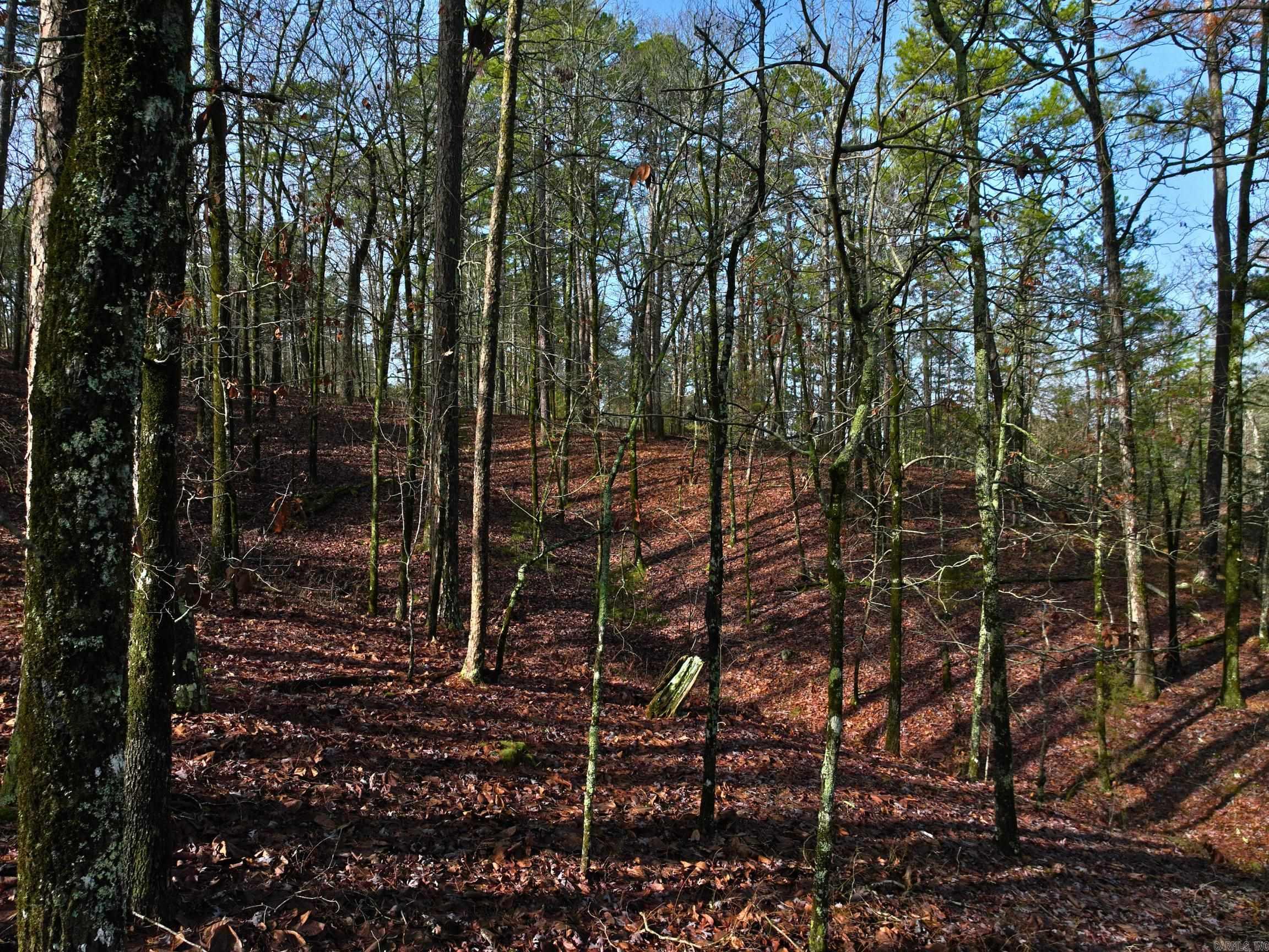 25  Lavanda  Hot Springs Village, AR