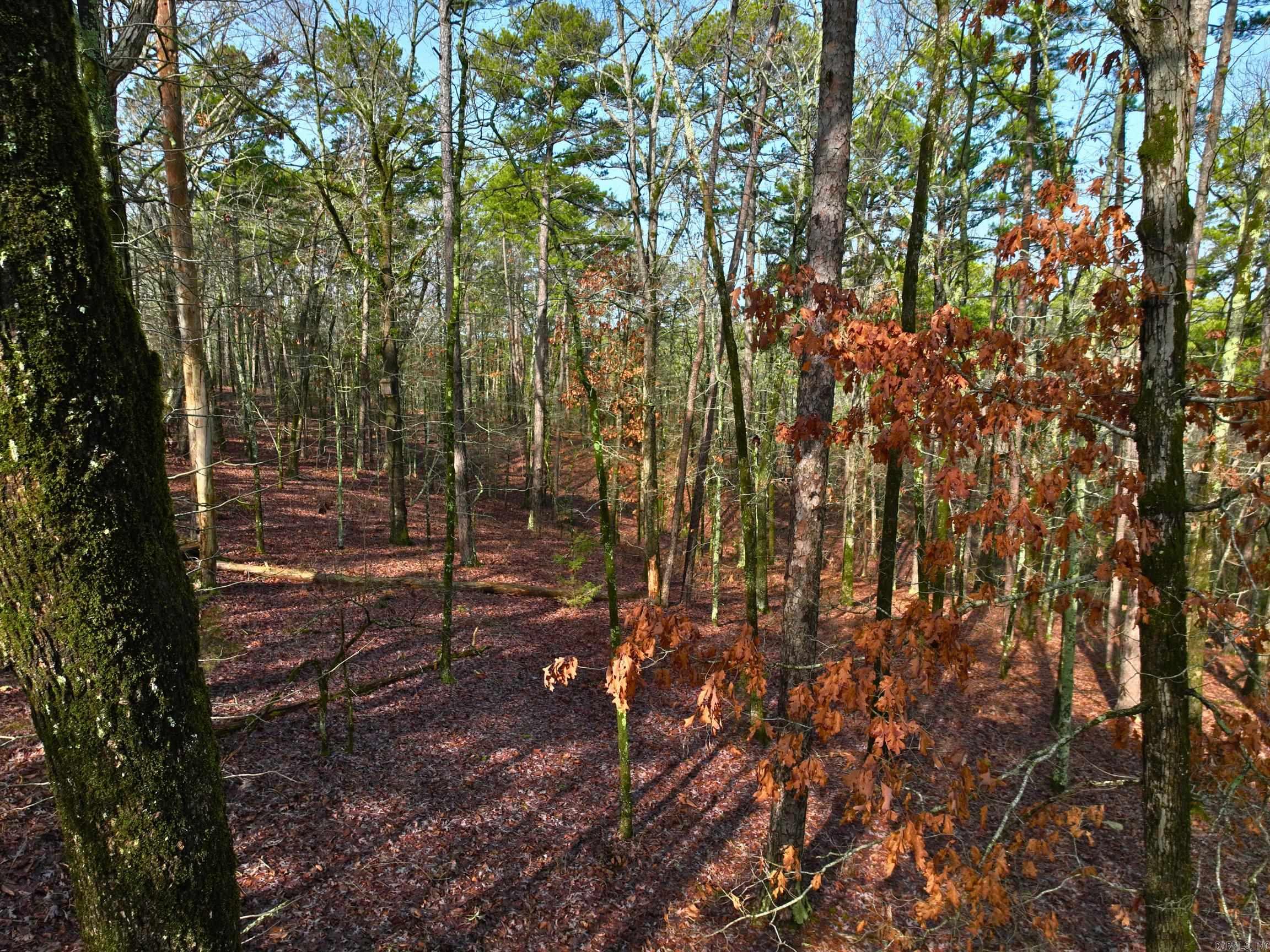 25  Lavanda  Hot Springs Village, AR