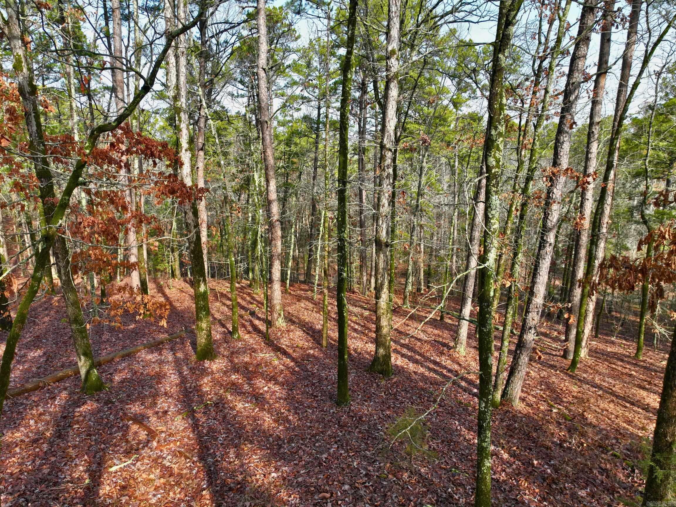 25  Lavanda  Hot Springs Village, AR