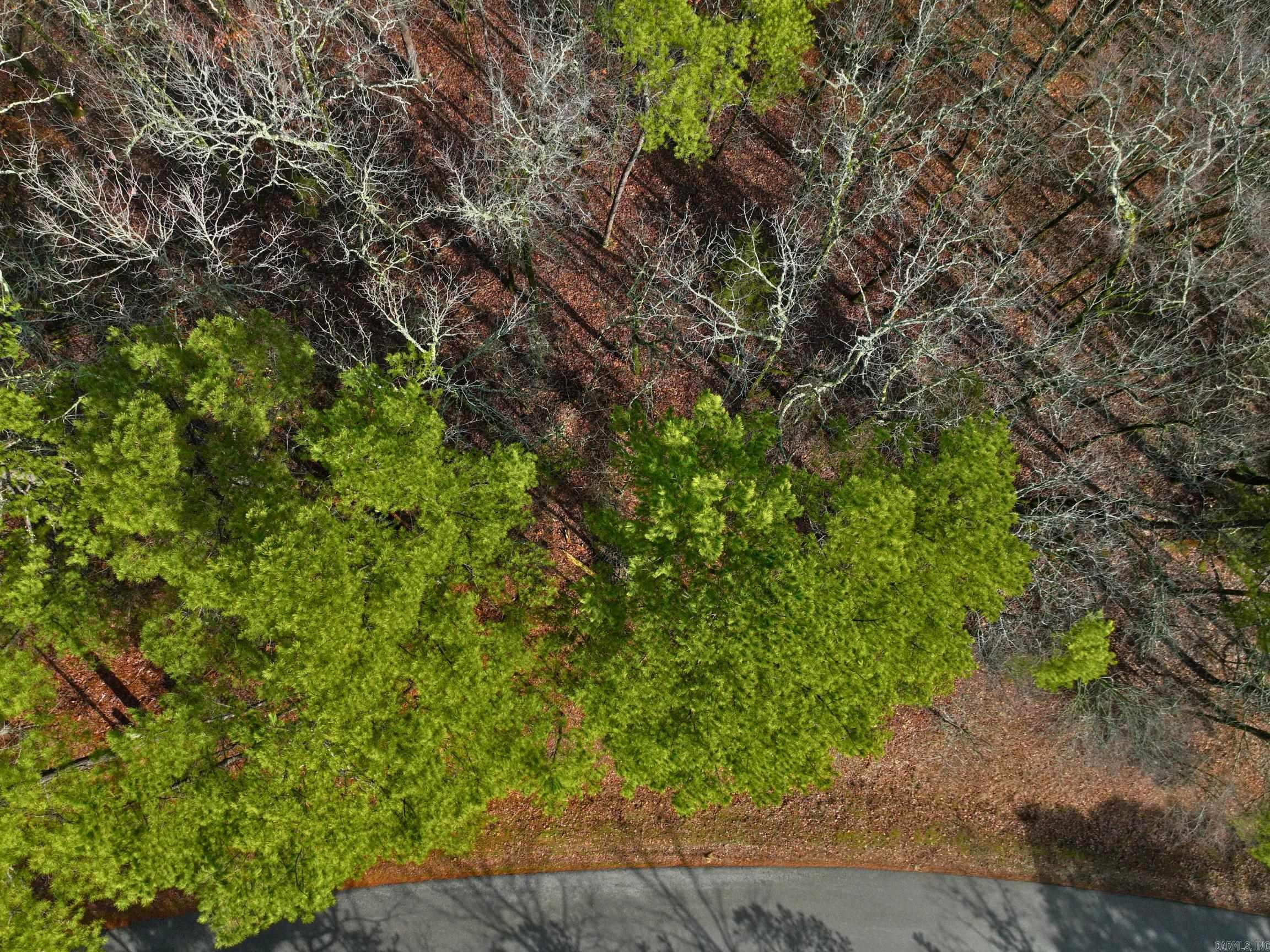 25  Lavanda  Hot Springs Village, AR