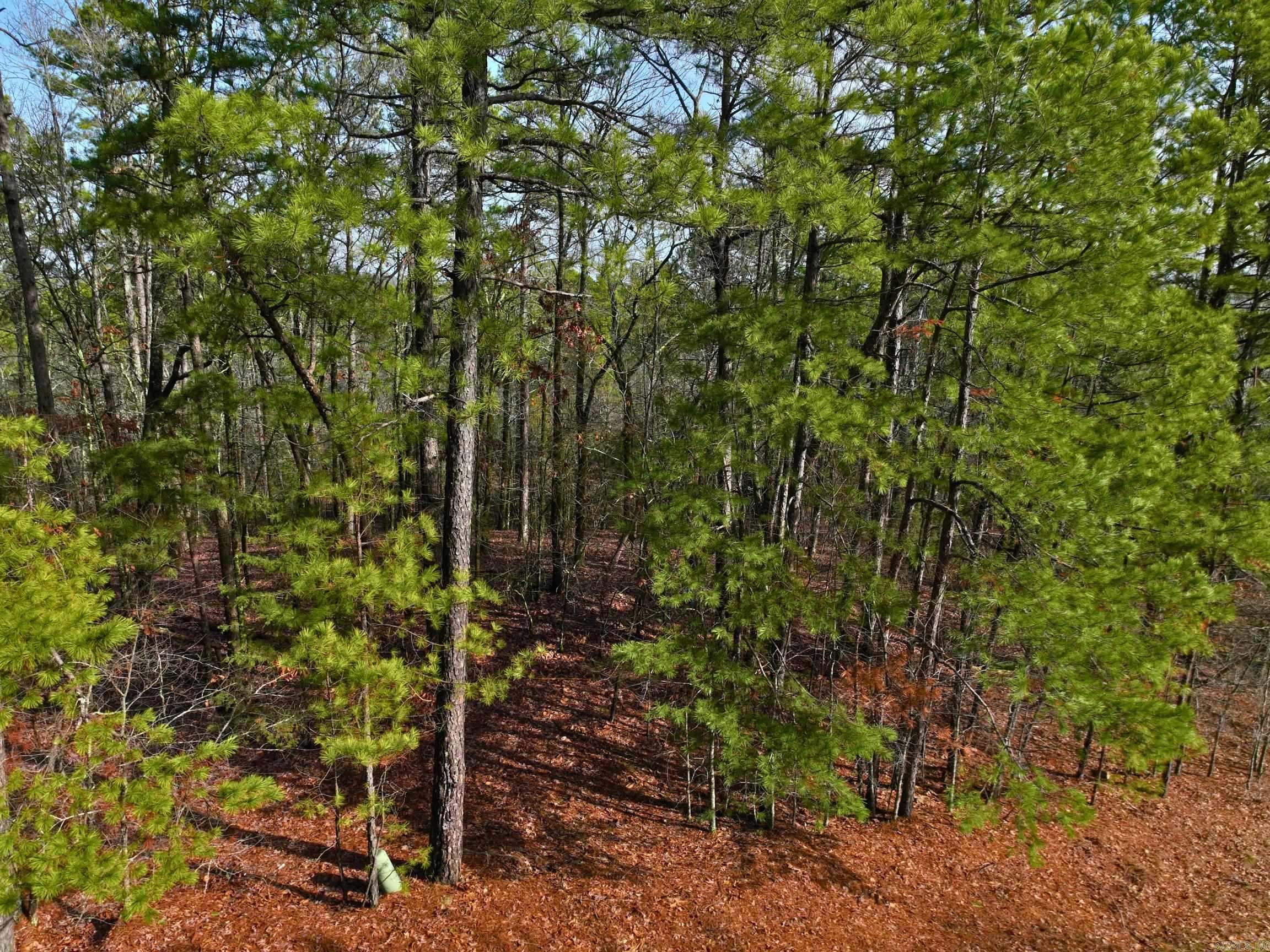 25  Lavanda  Hot Springs Village, AR