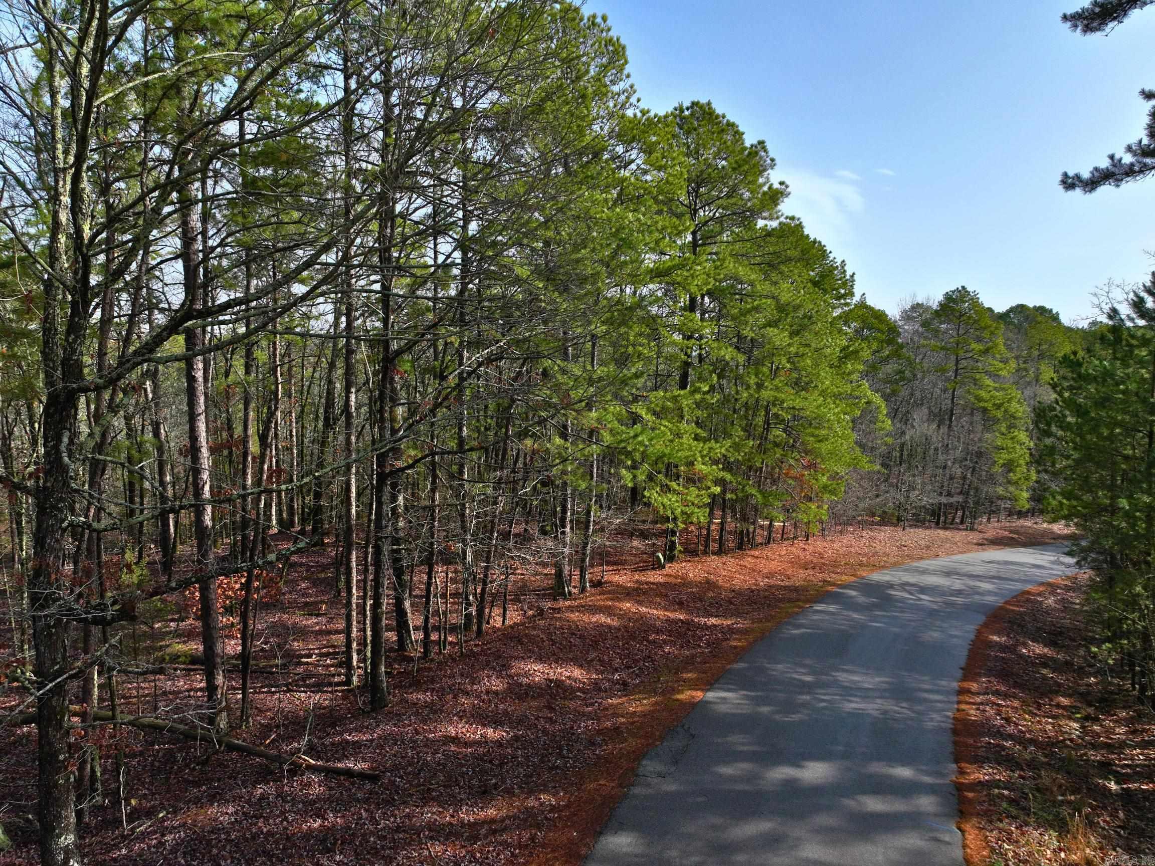 25  Lavanda  Hot Springs Village, AR
