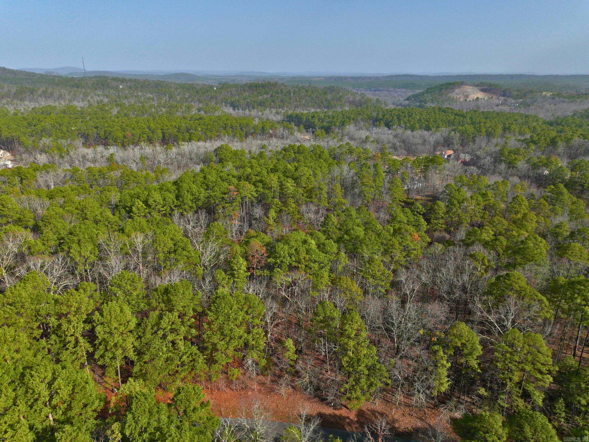 25  Lavanda  Hot Springs Village, AR