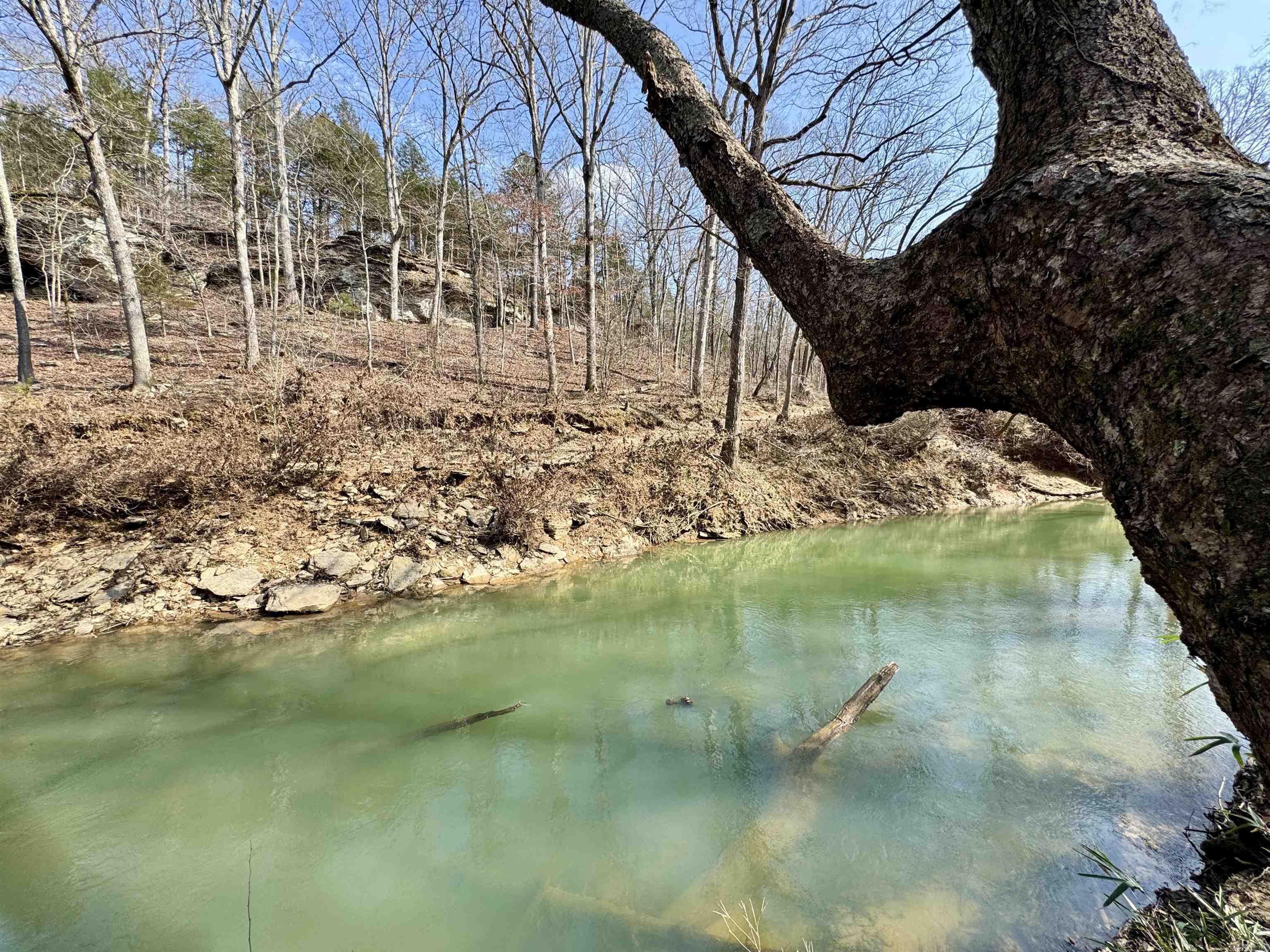 3306  Black Hill Road  Bee Branch, AR