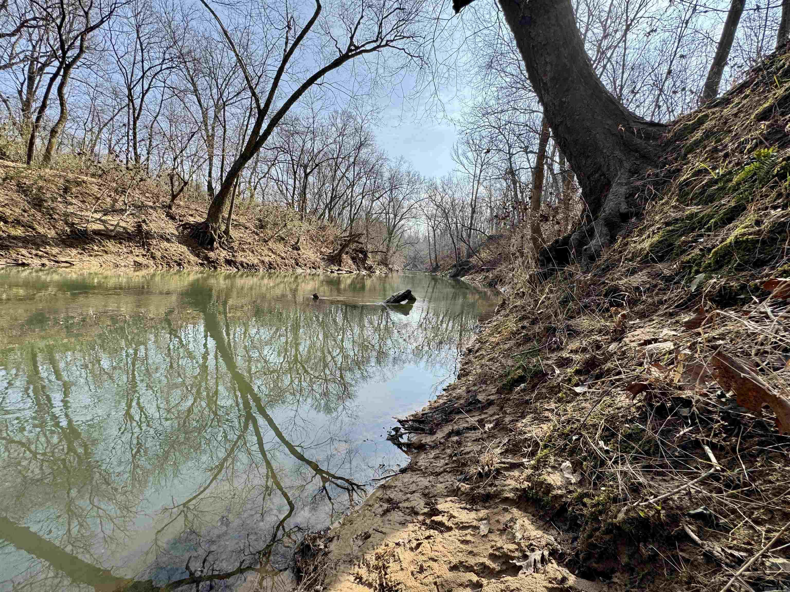 3306  Black Hill Road  Bee Branch, AR
