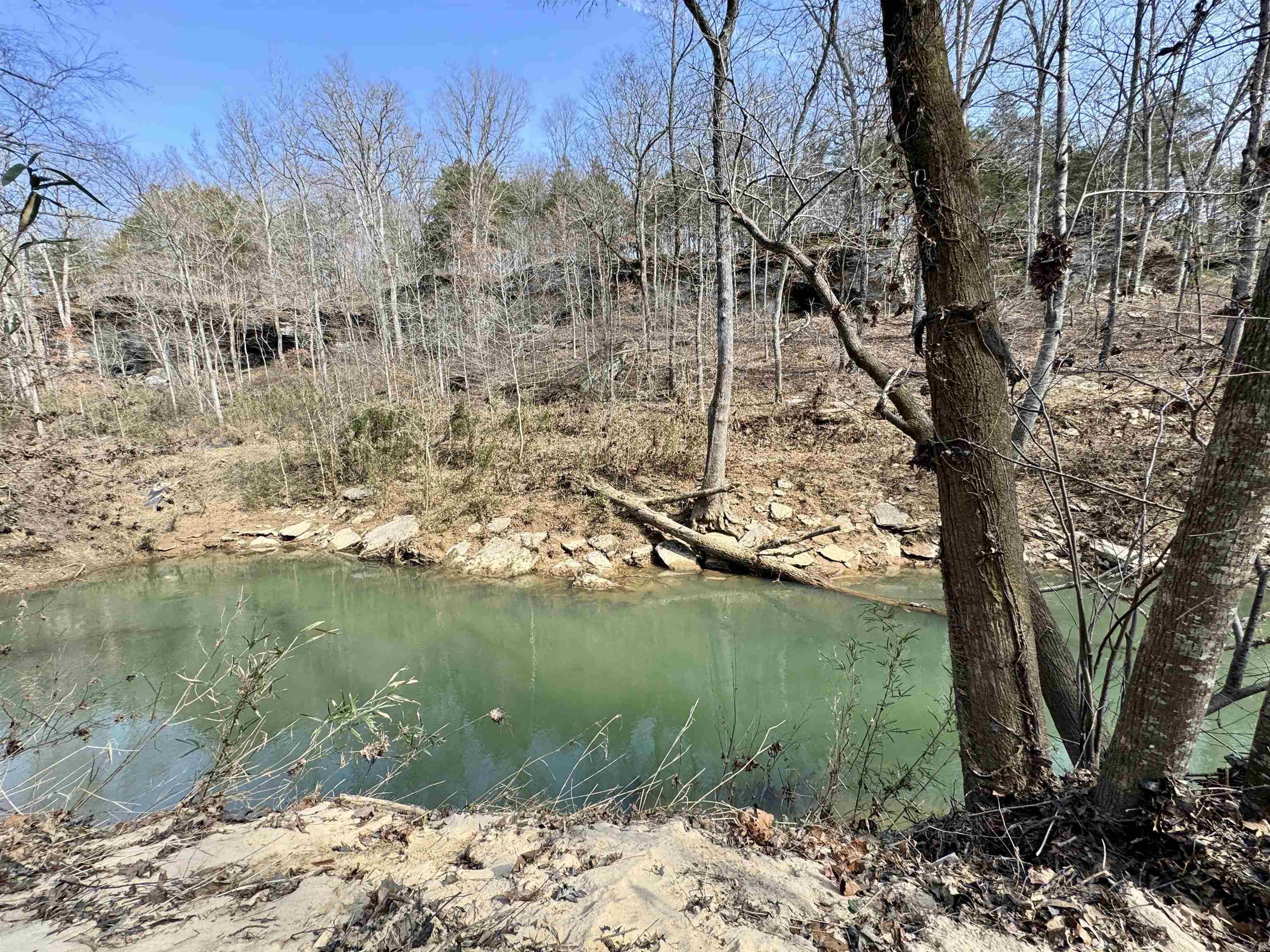 3306  Black Hill Road  Bee Branch, AR