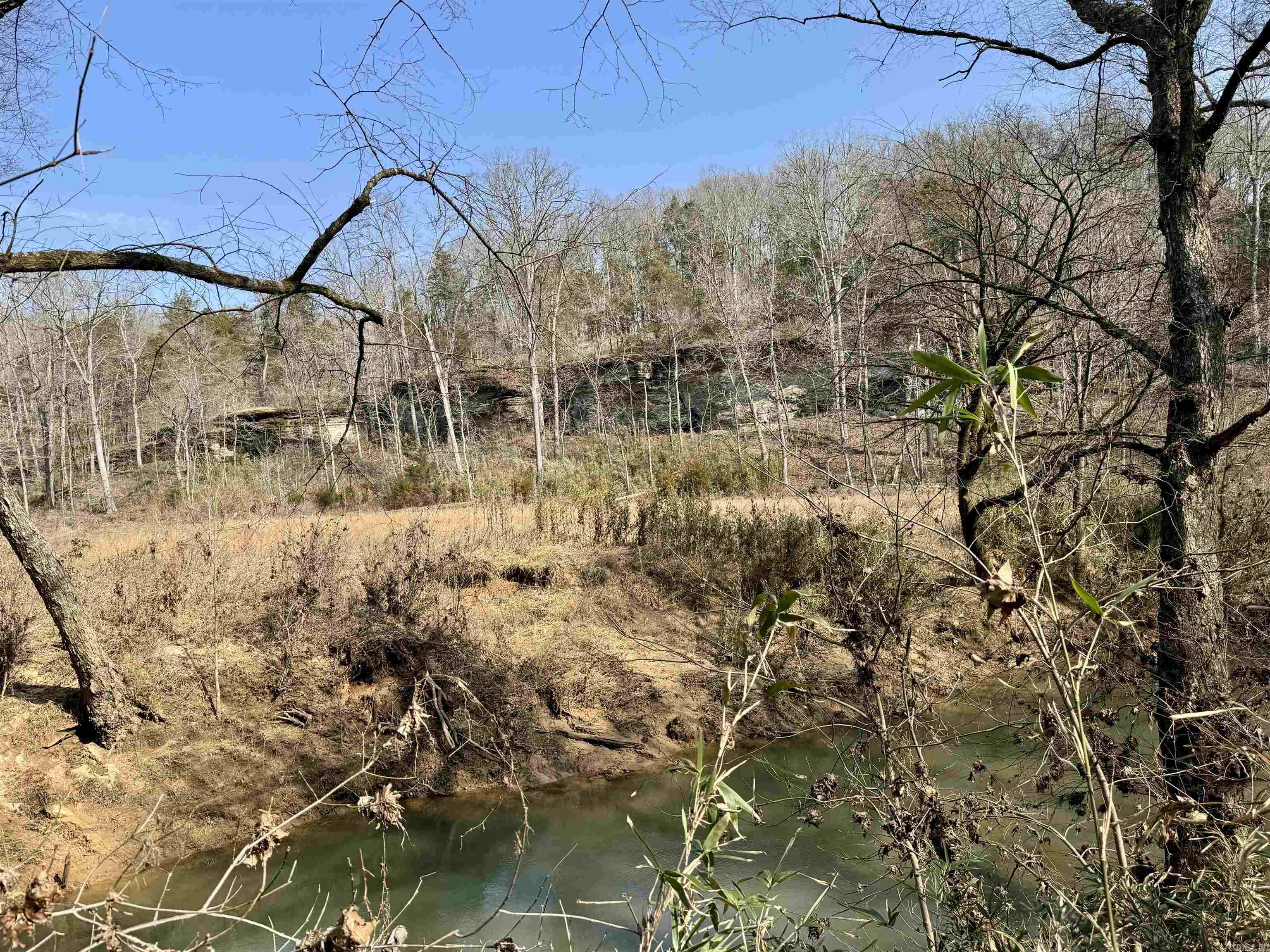 3306  Black Hill Road  Bee Branch, AR