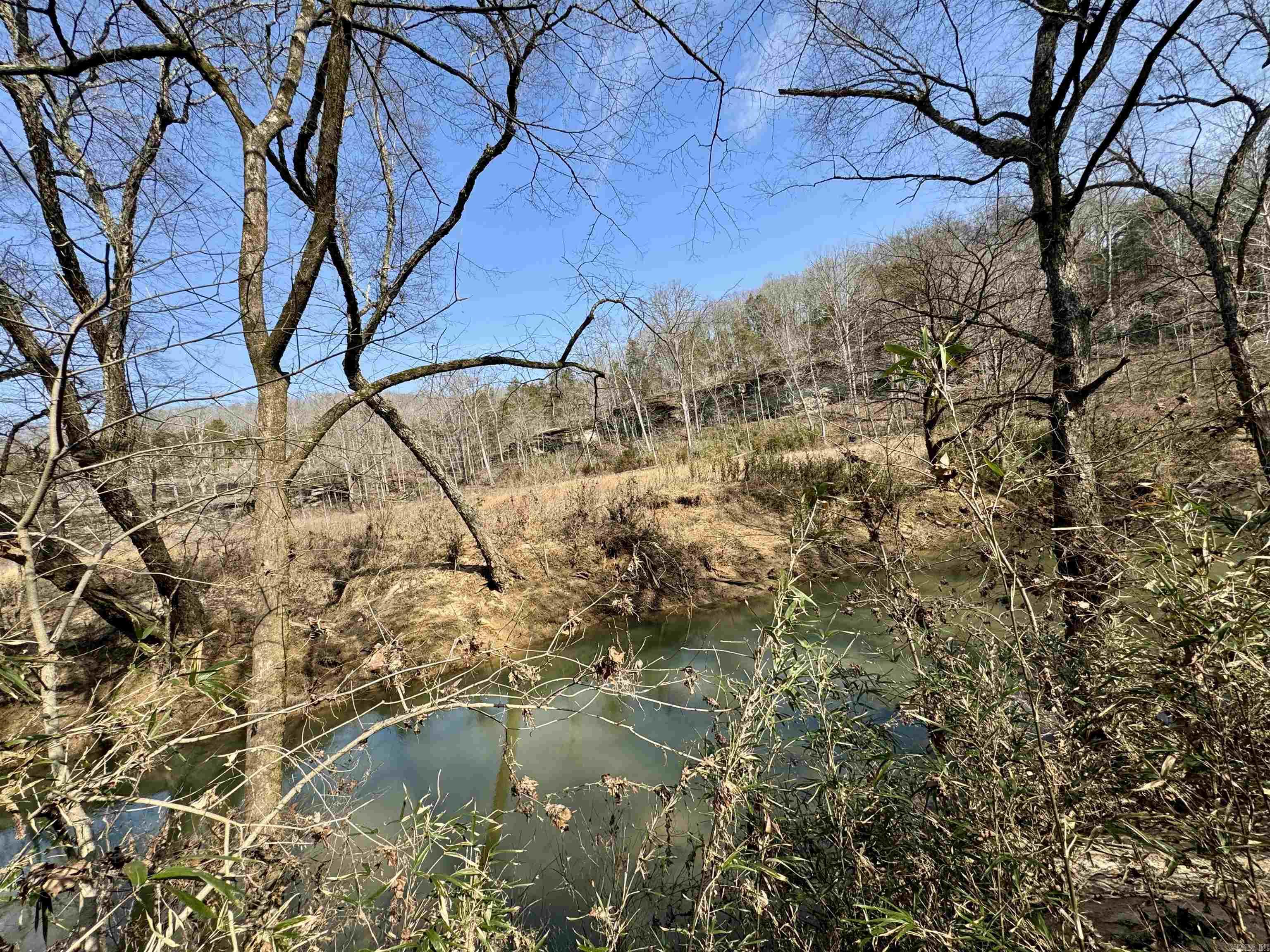3306  Black Hill Road  Bee Branch, AR