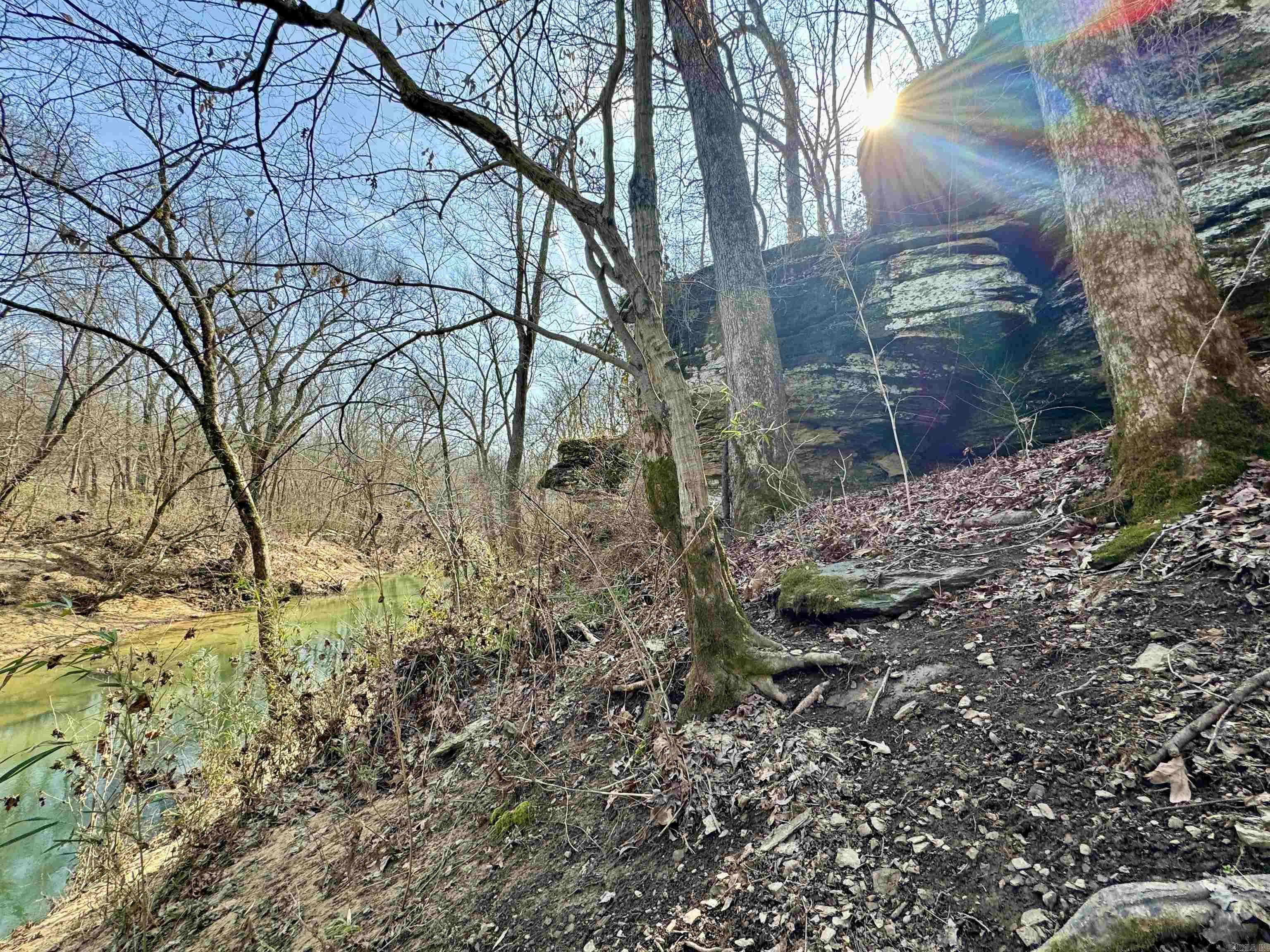 3306  Black Hill Road  Bee Branch, AR