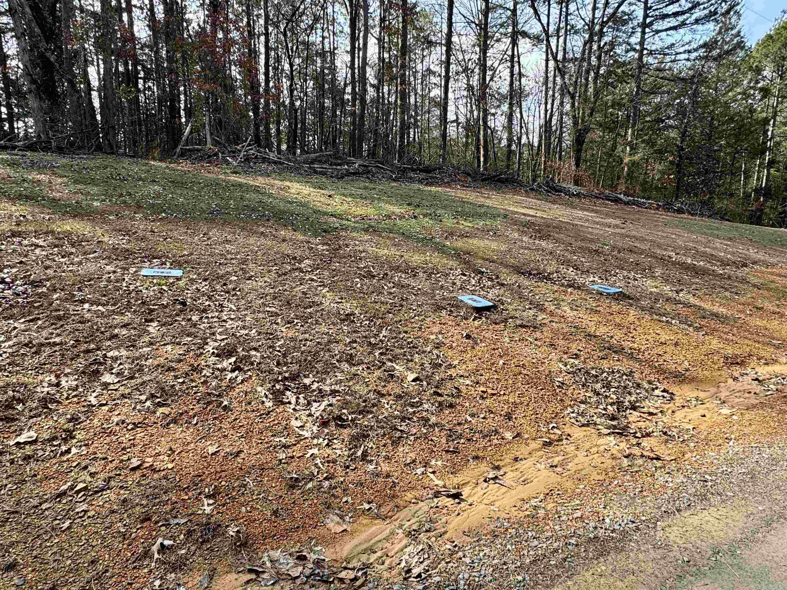 3306  Black Hill Road  Bee Branch, AR
