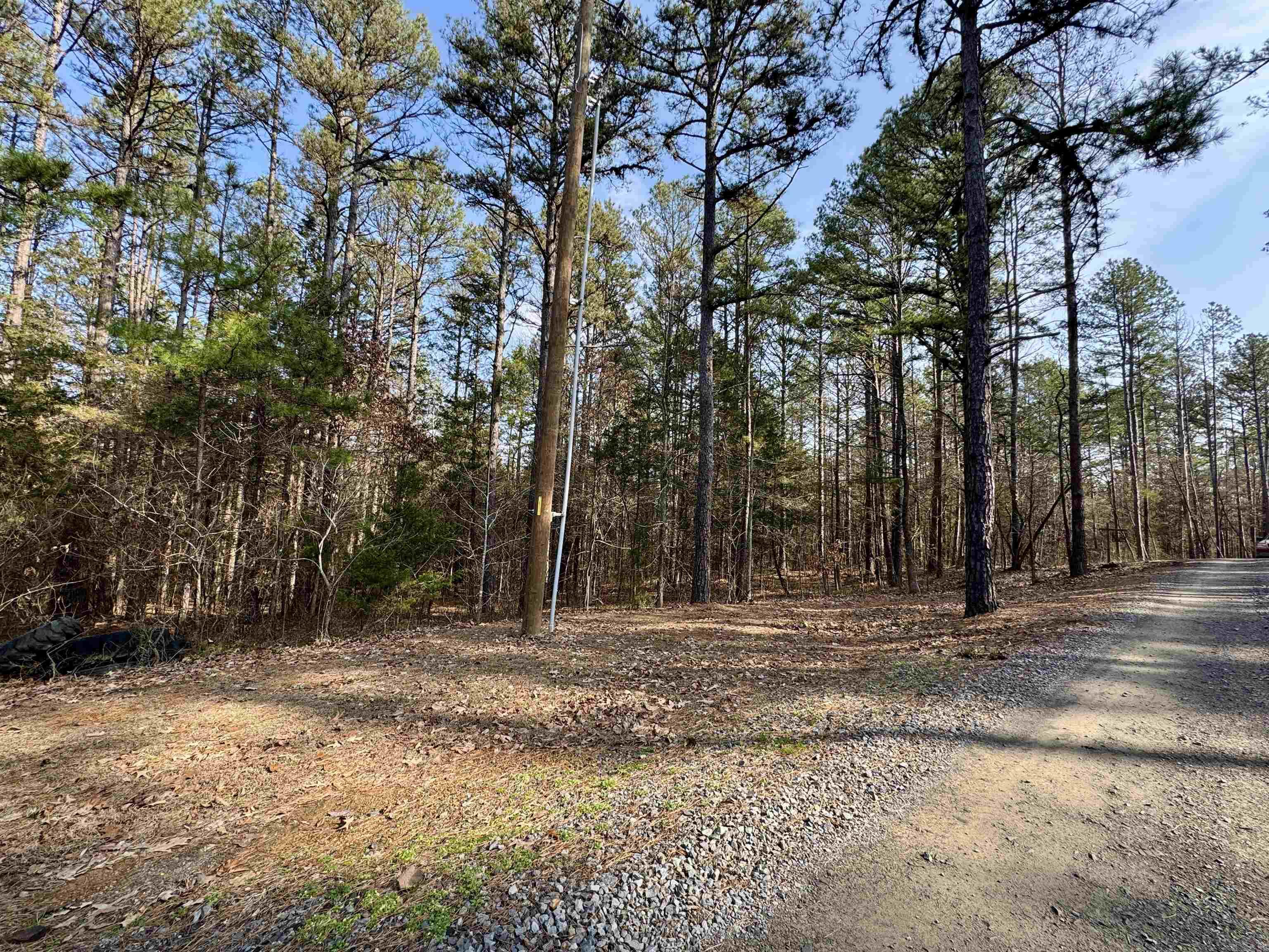 3306  Black Hill Road  Bee Branch, AR