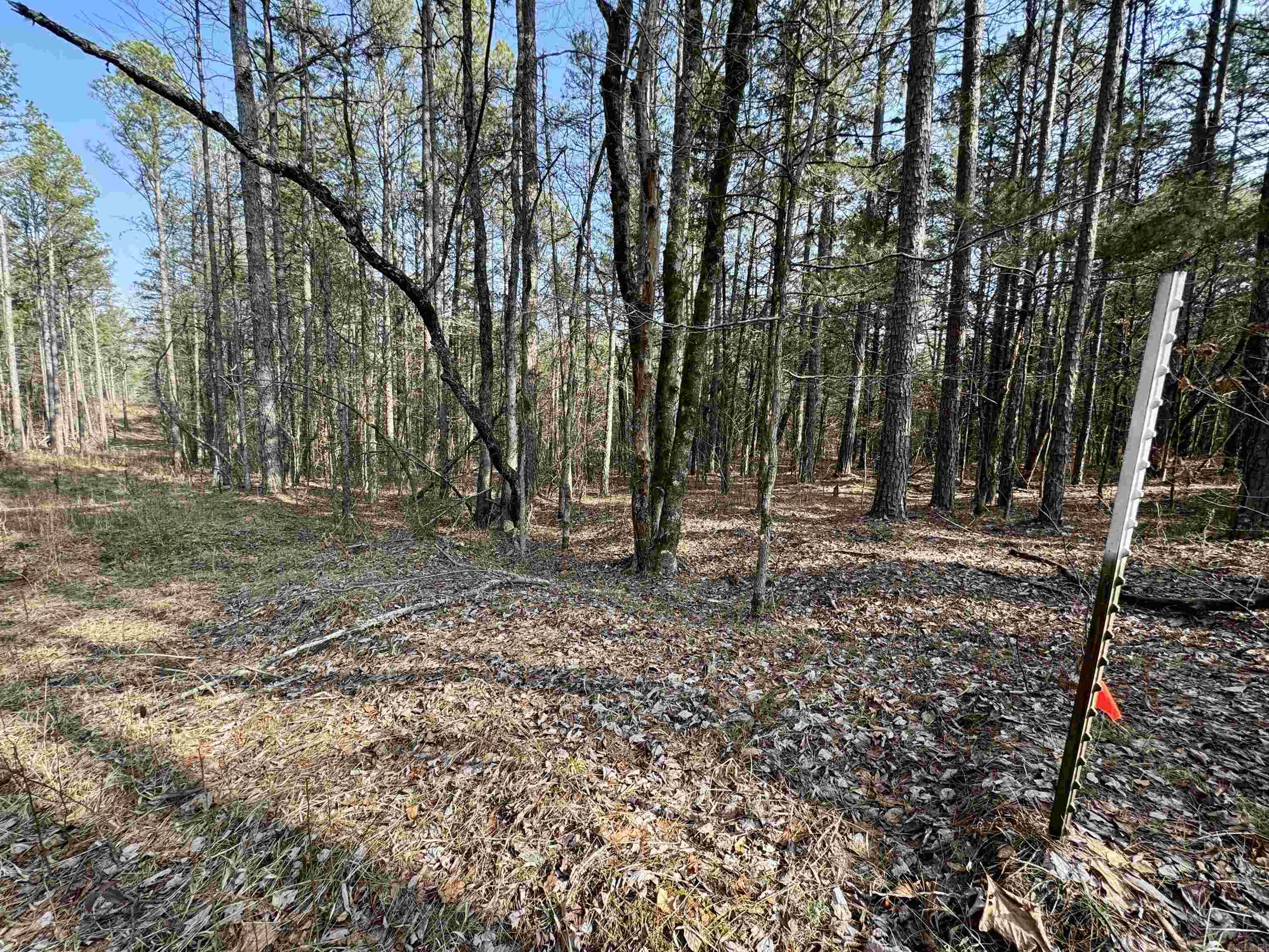 3306  Black Hill Road  Bee Branch, AR