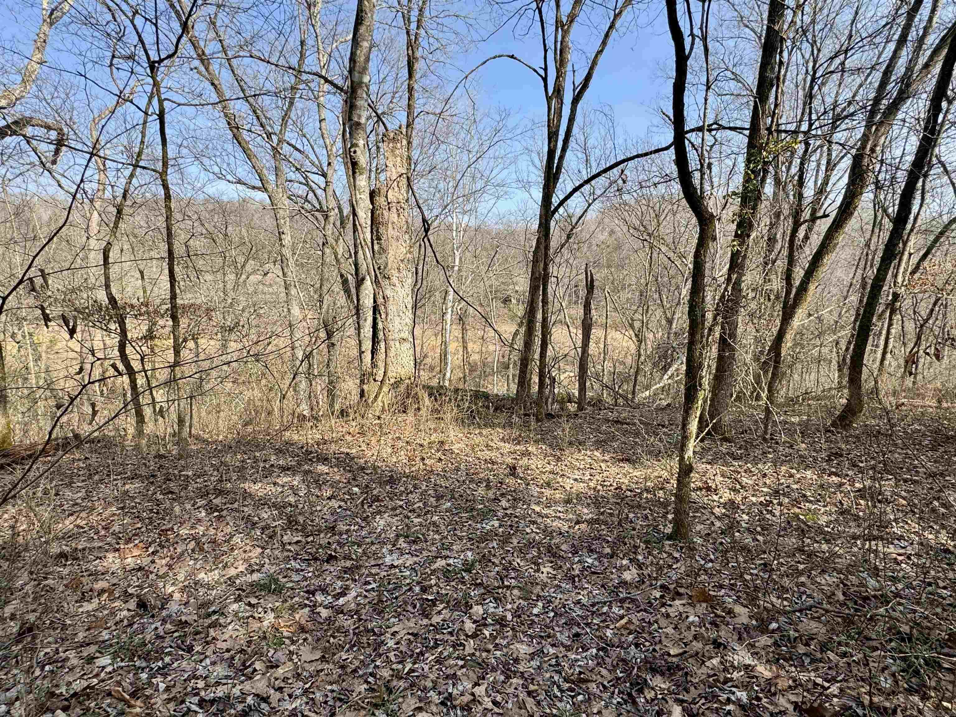3306  Black Hill Road  Bee Branch, AR