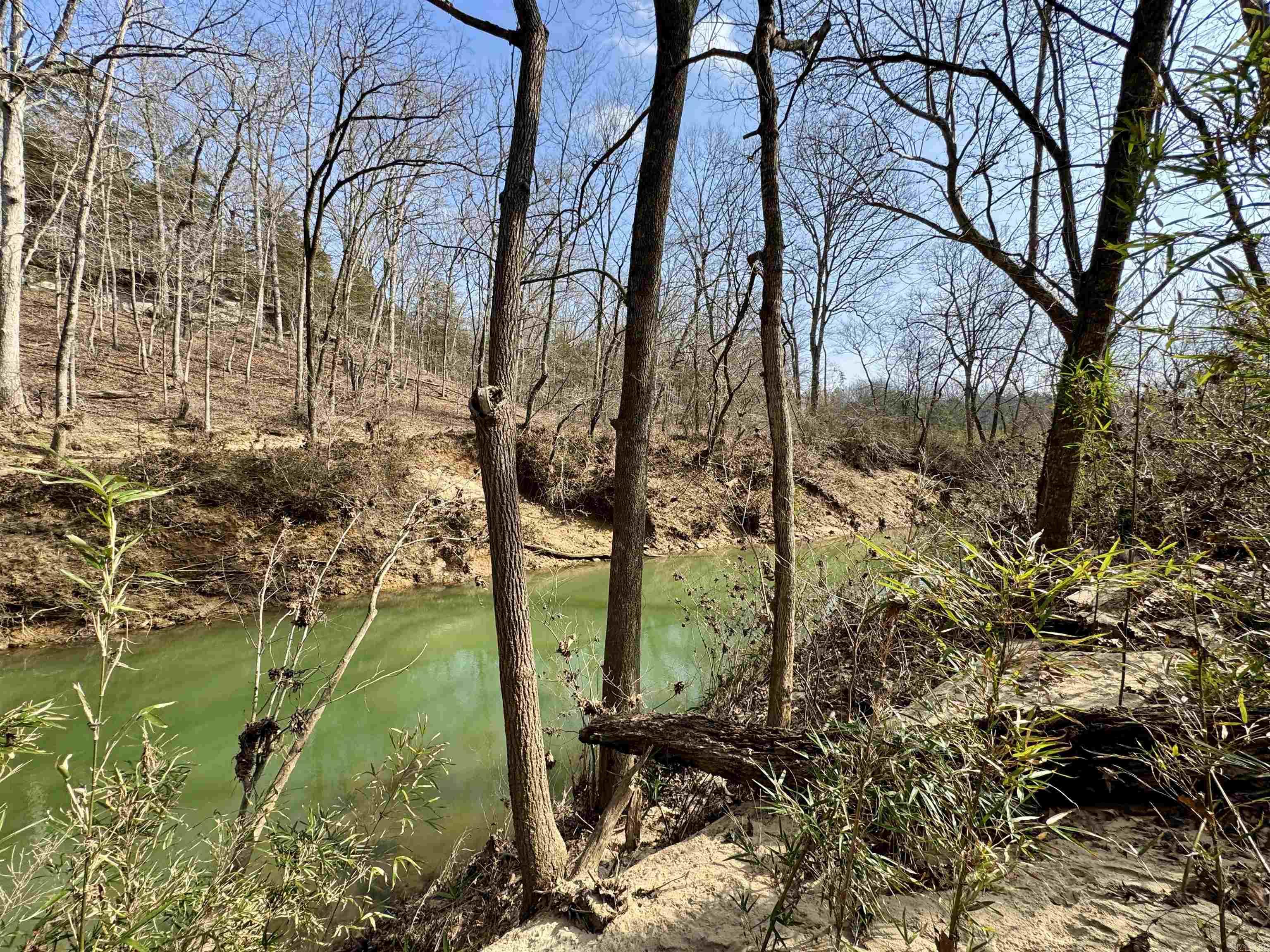 3306  Black Hill Road  Bee Branch, AR