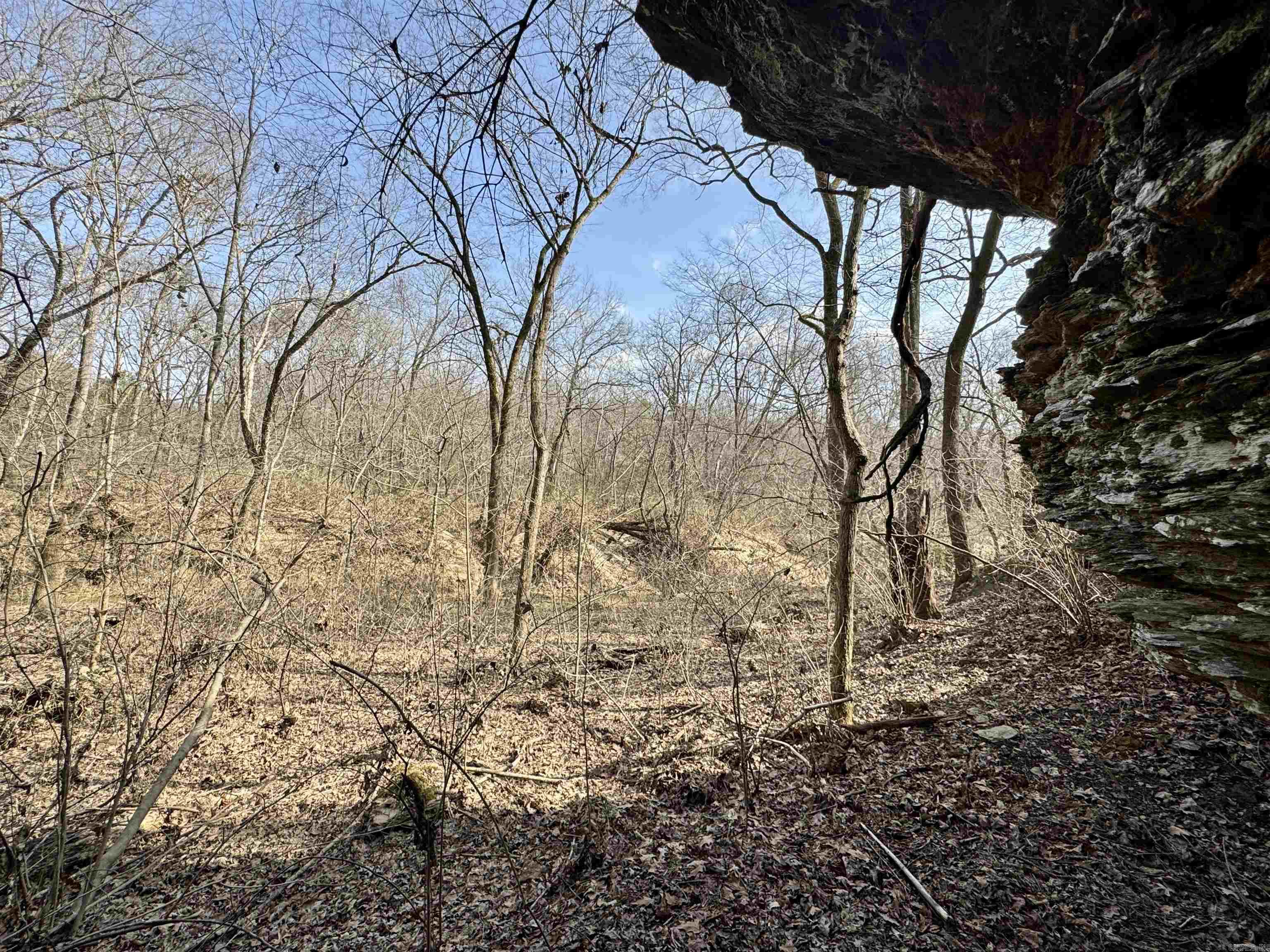3306  Black Hill Road  Bee Branch, AR