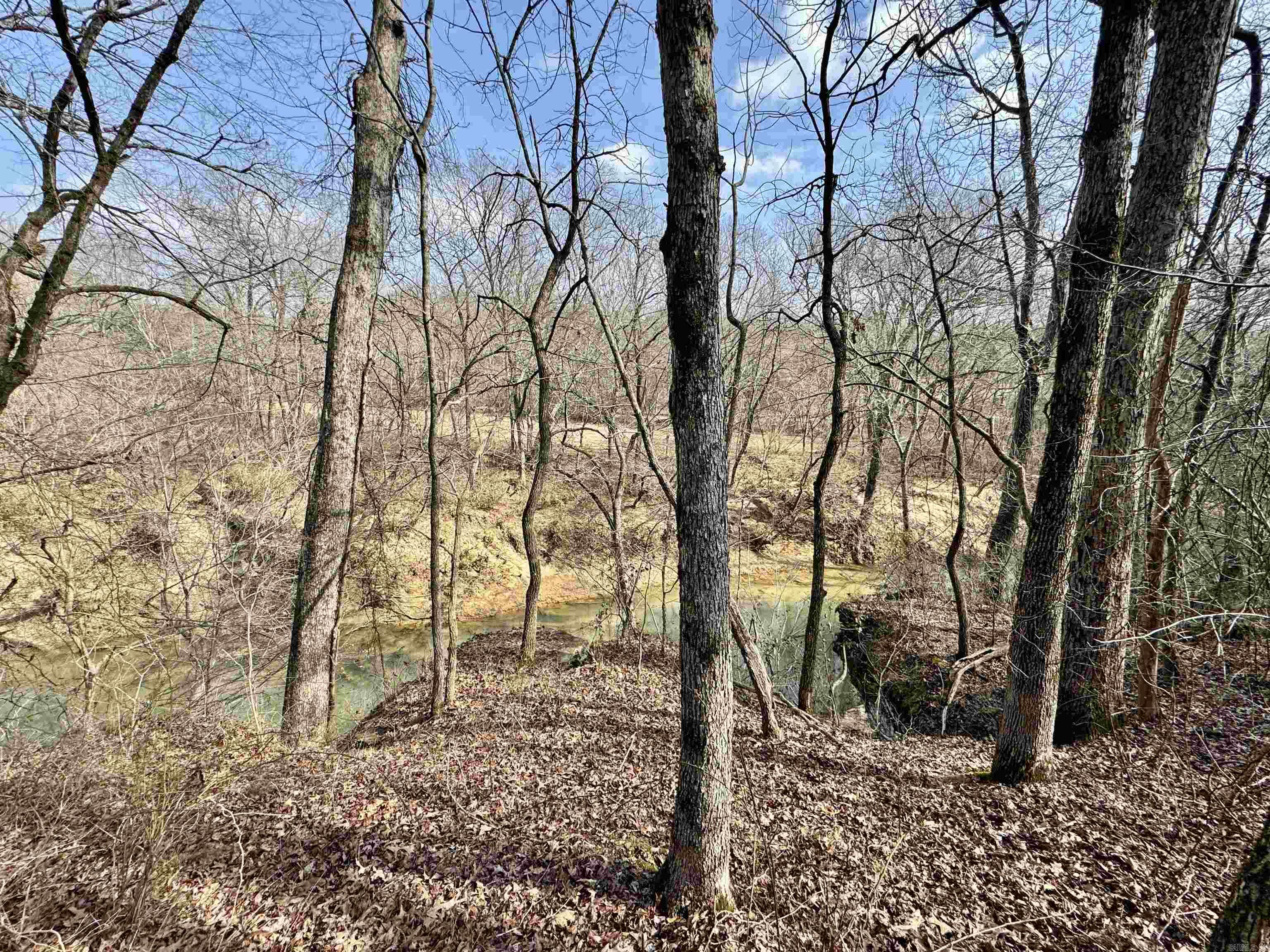 3306  Black Hill Road  Bee Branch, AR