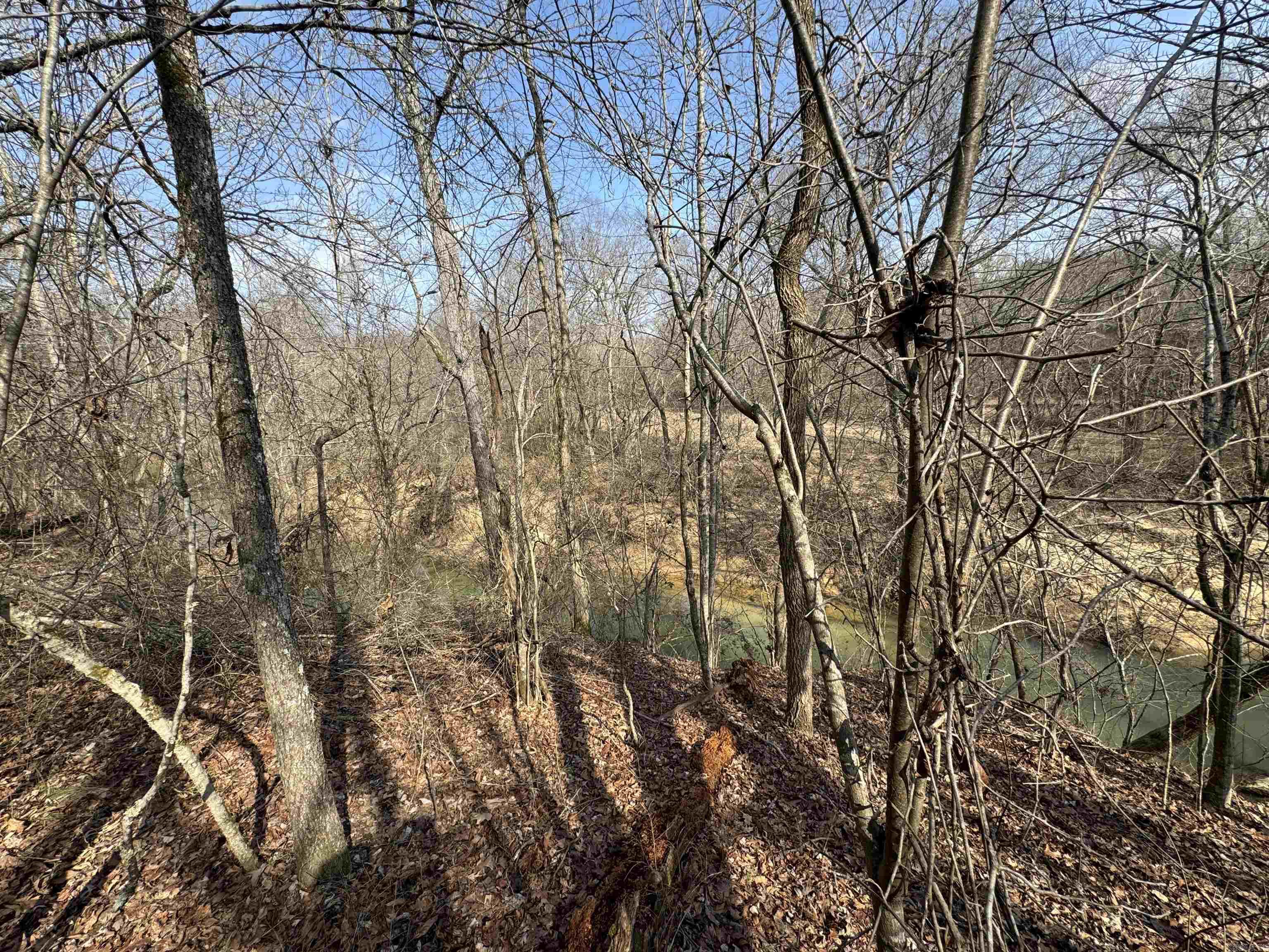 3306  Black Hill Road  Bee Branch, AR