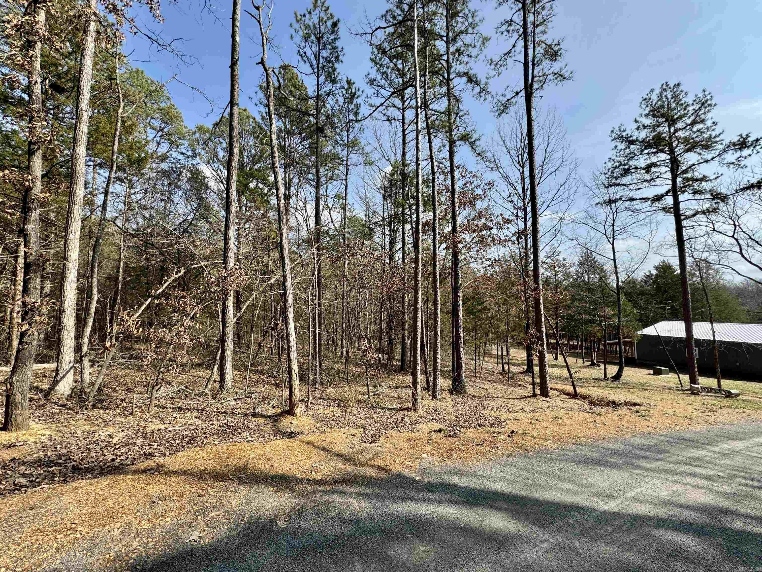 3306  Black Hill Road  Bee Branch, AR