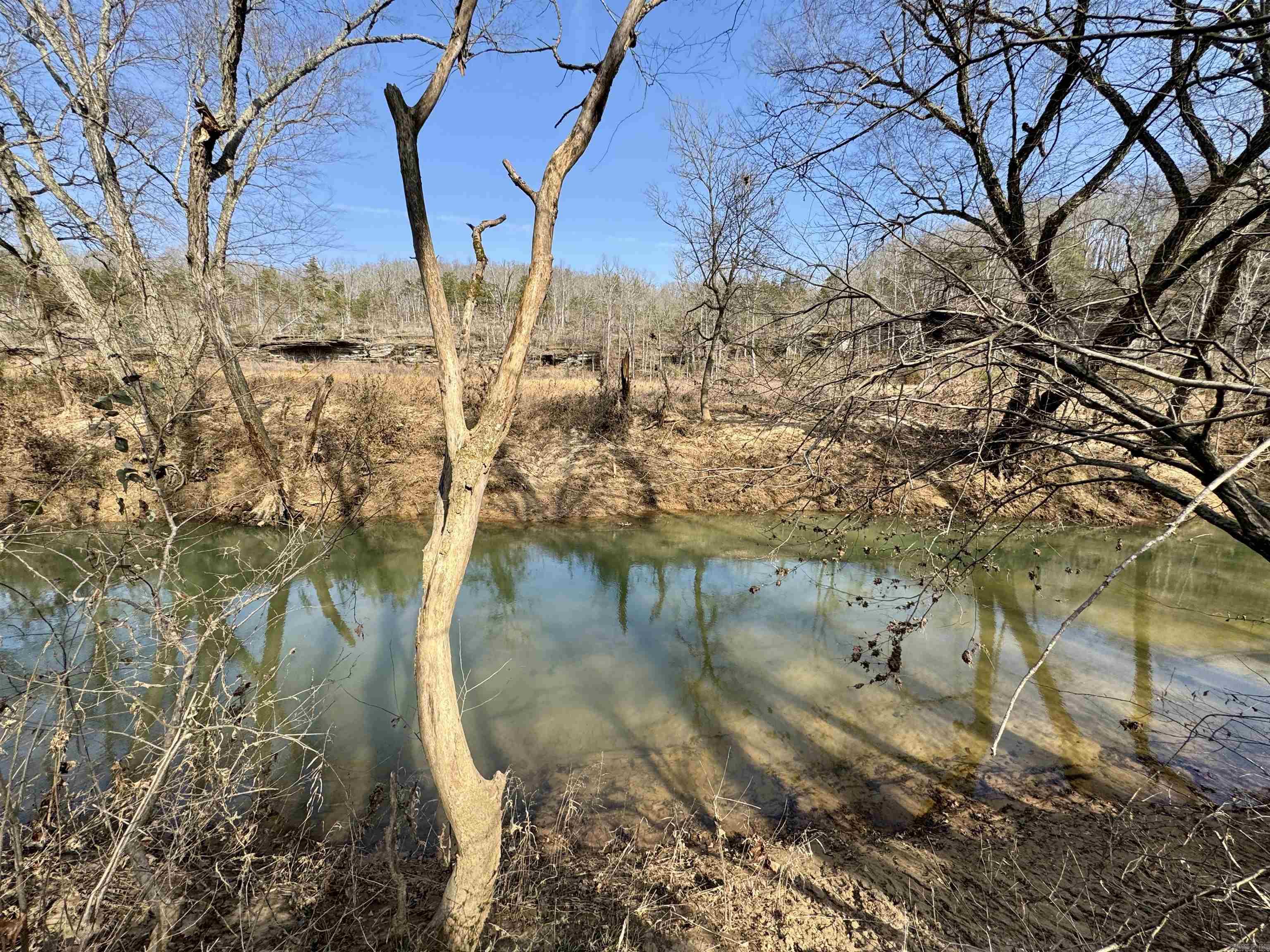 3306  Black Hill Road  Bee Branch, AR