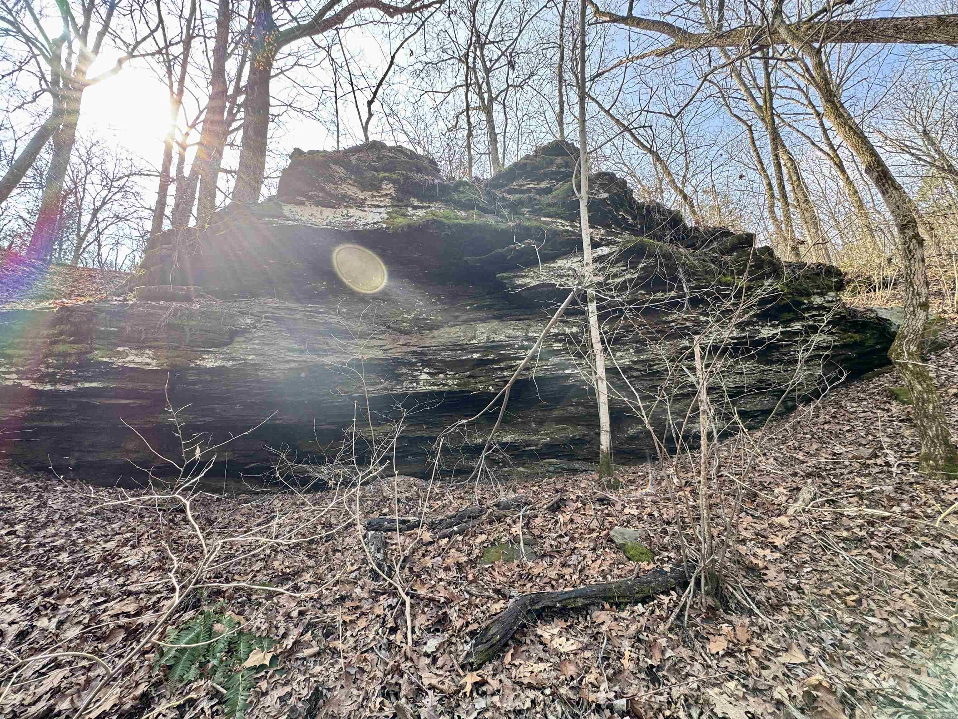 3306  Black Hill Road  Bee Branch, AR