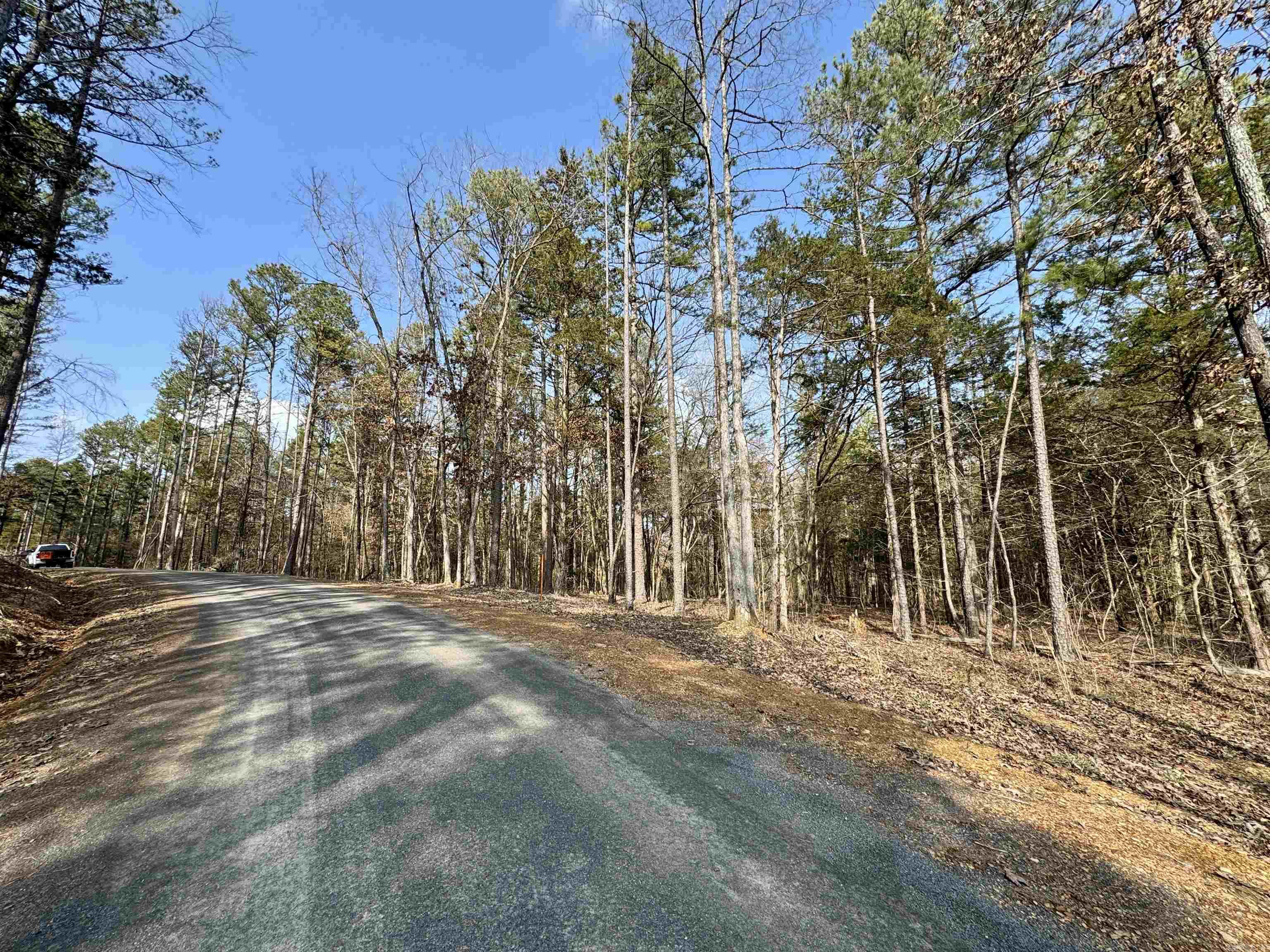 3306  Black Hill Road  Bee Branch, AR