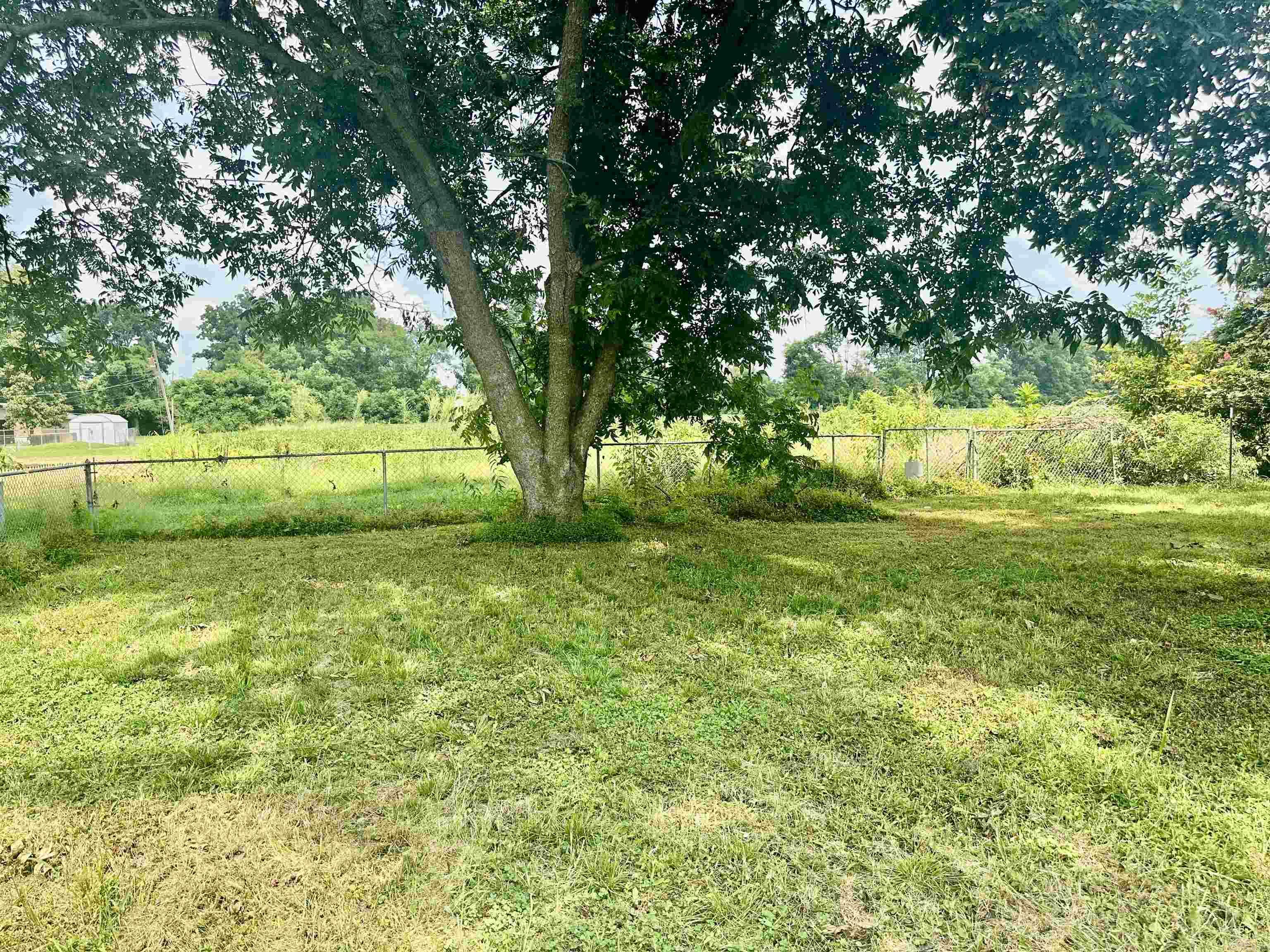 111  Sneed  Marked Tree, AR