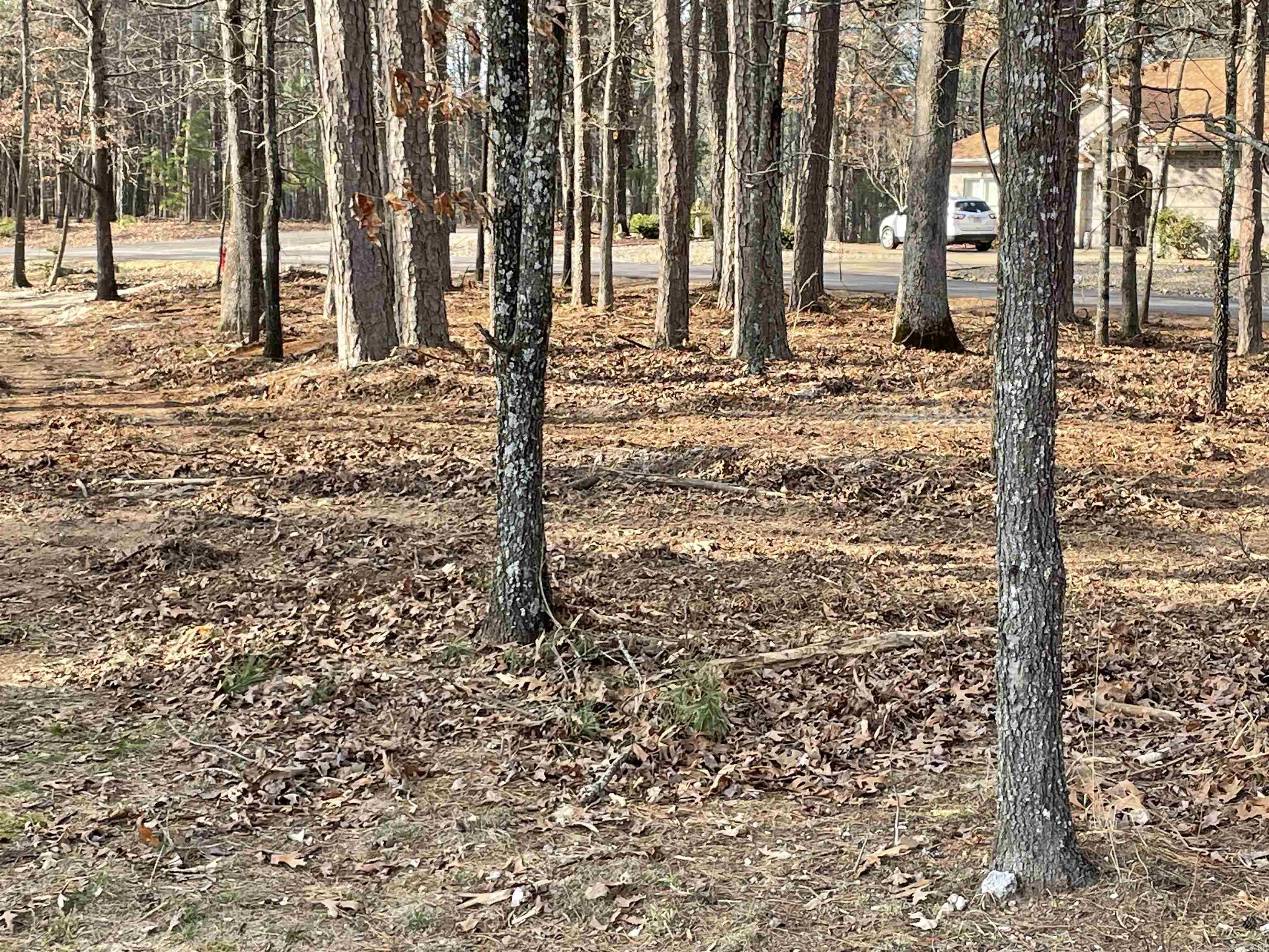 28  Granada  Hot Springs Village, AR